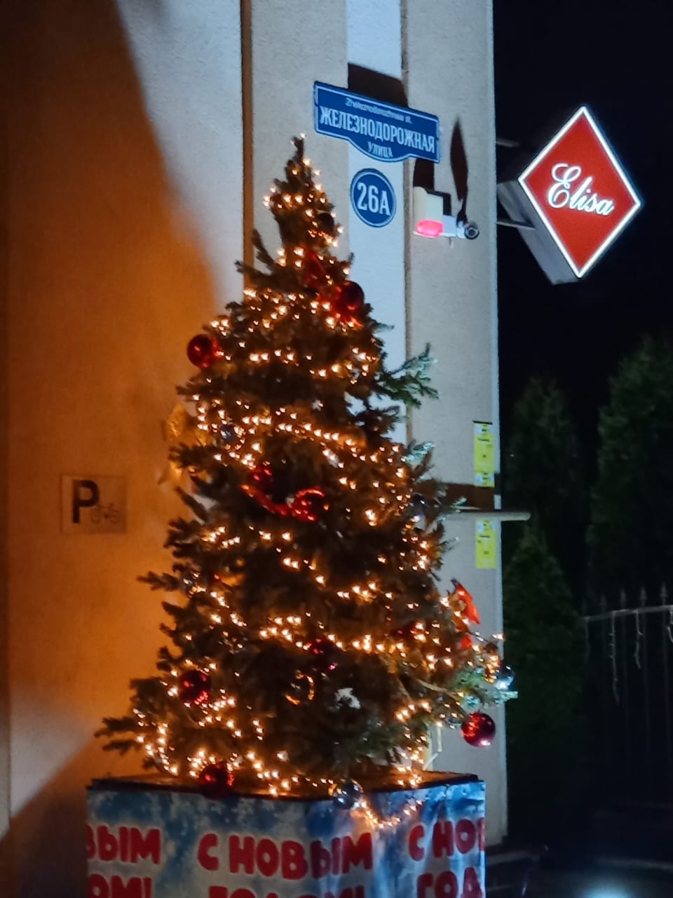 Фото Элиза Бонапарт