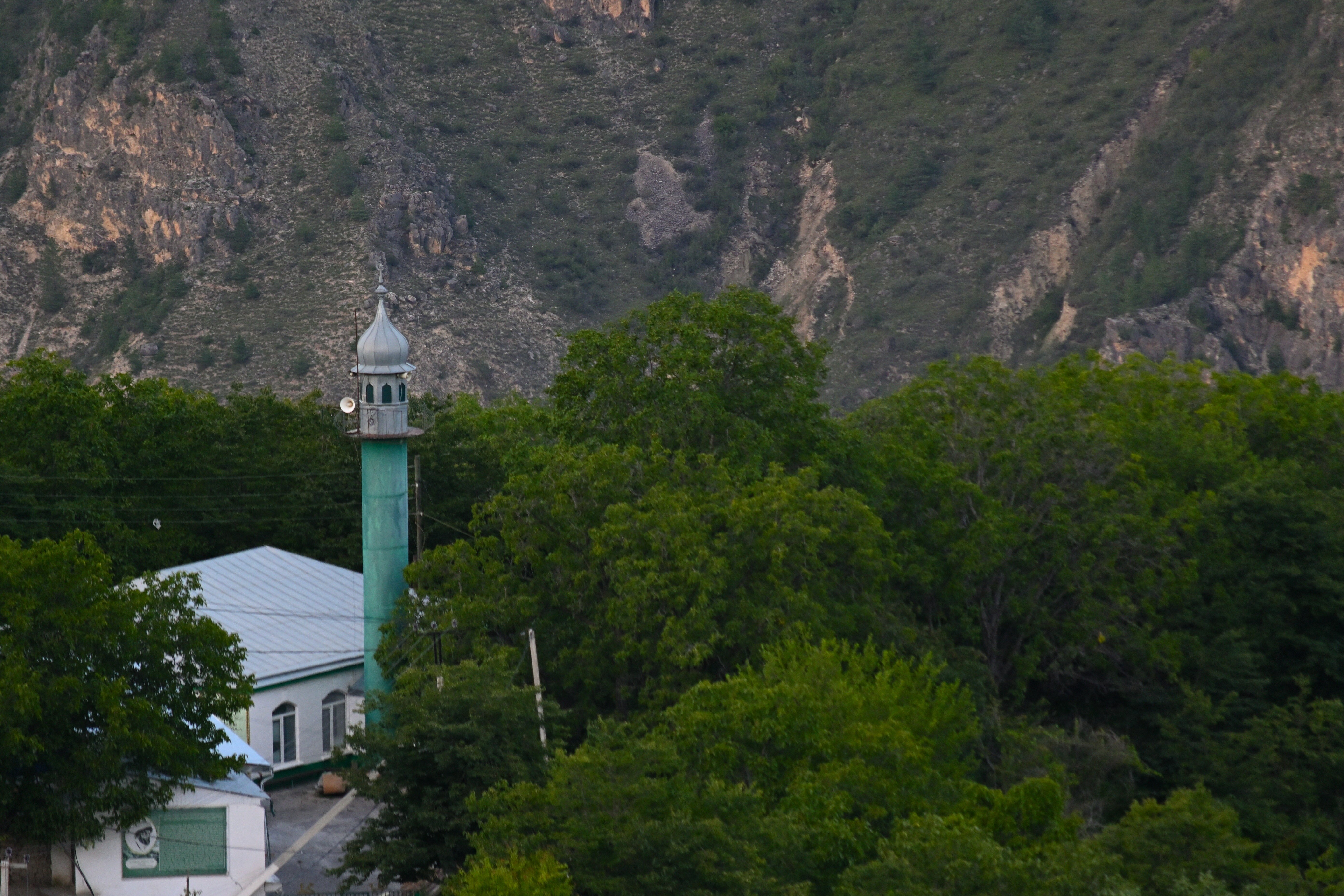 Фото Родное гнездо