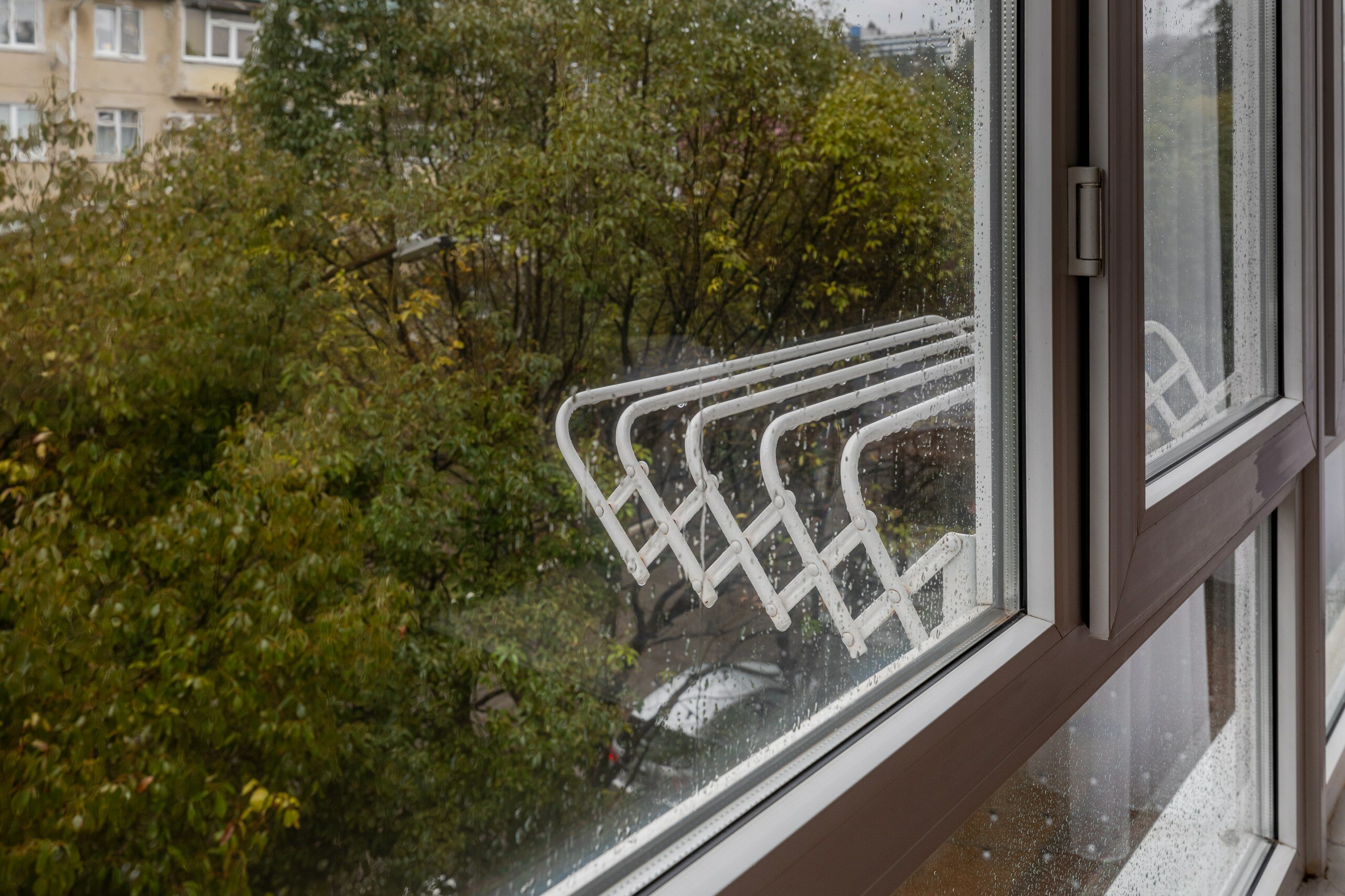 Фото Катран