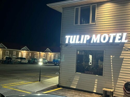 Гостиница Tulip Motel