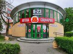 Соцфарма (Kalcova Street, 55), pharmacy