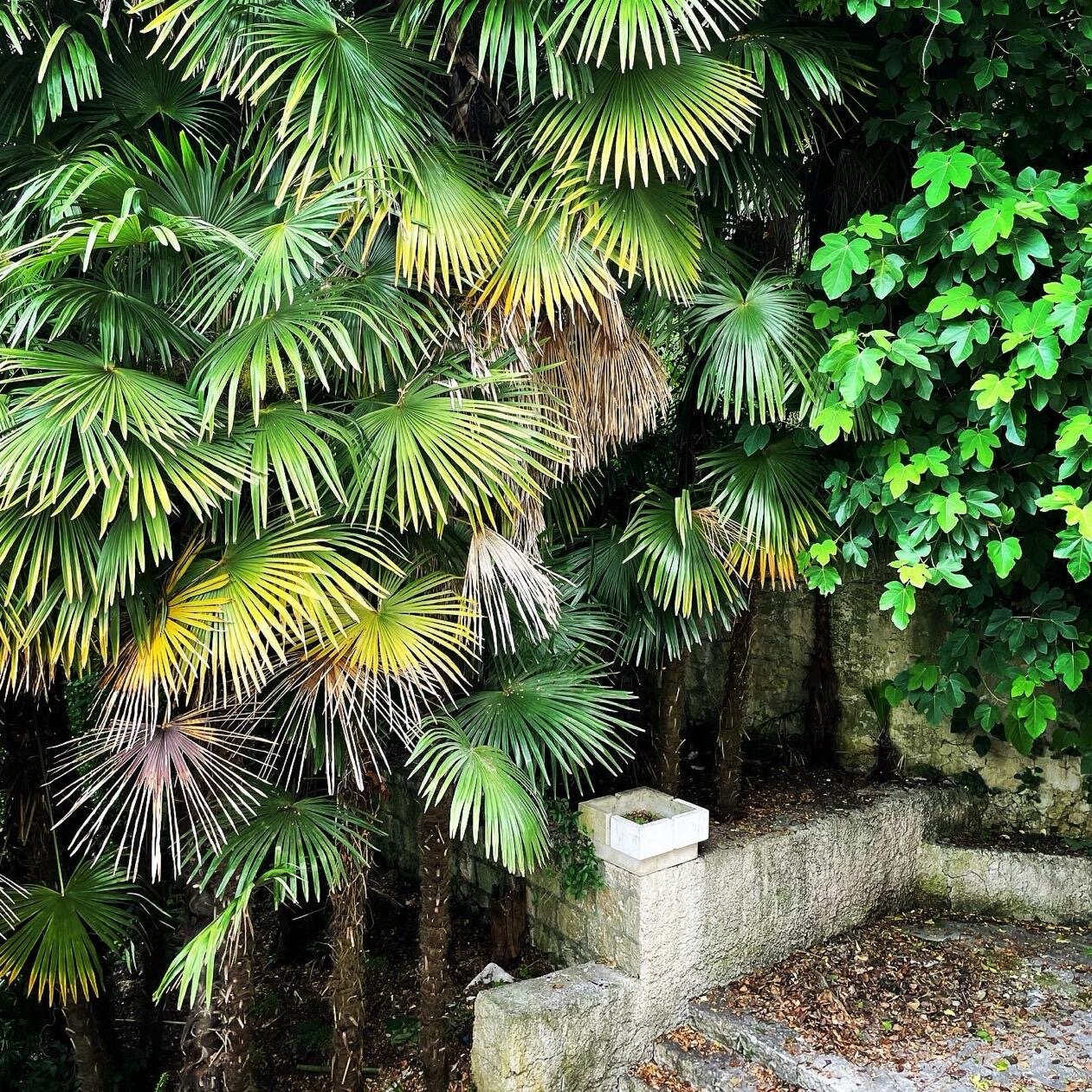 Фото Отель Villa Maria