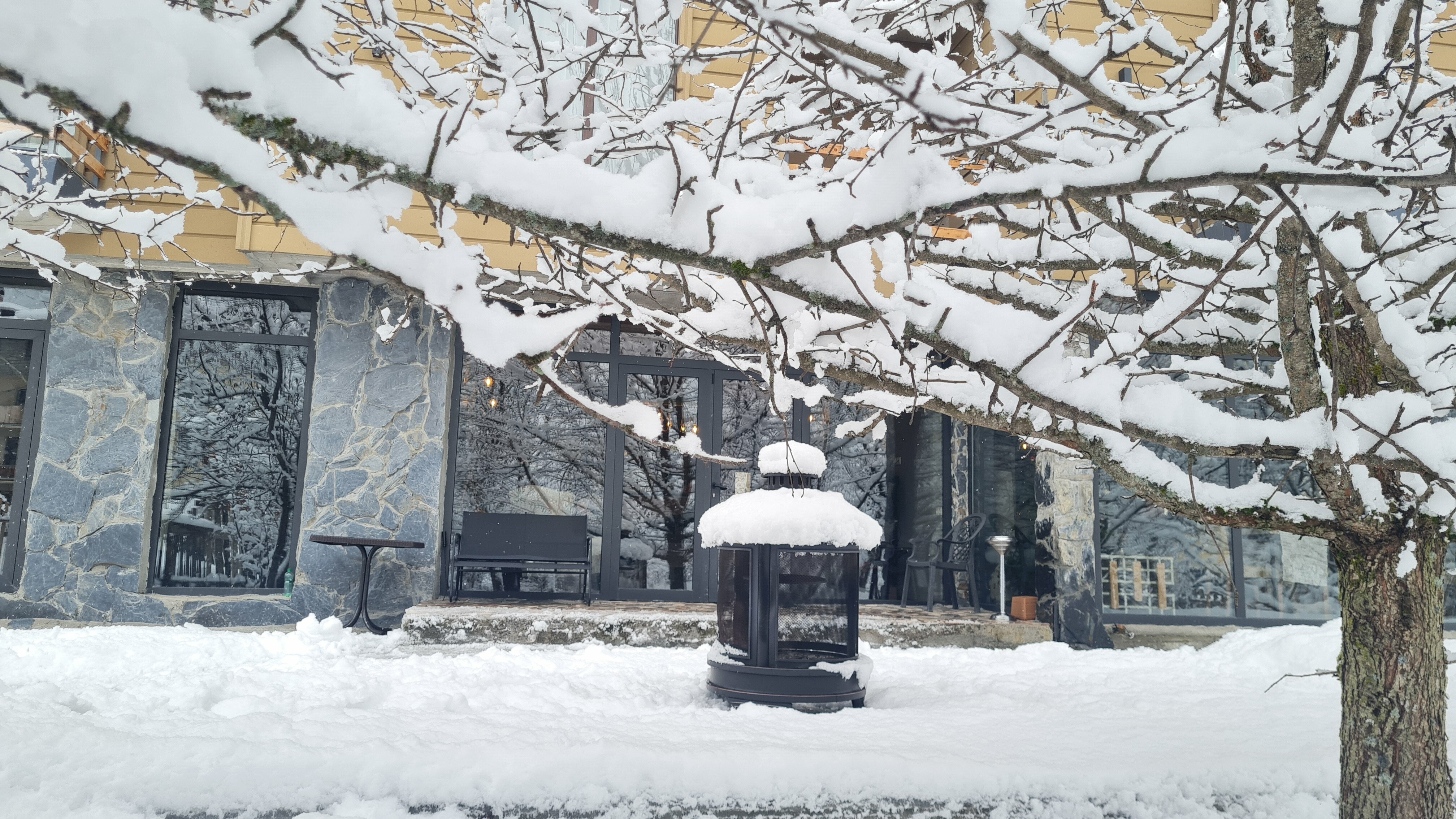 Фото Mestia Roots