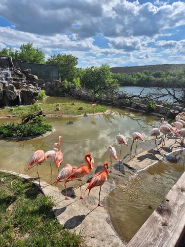 Сексуалды аяқ киімдегі қыздардың аяқтары