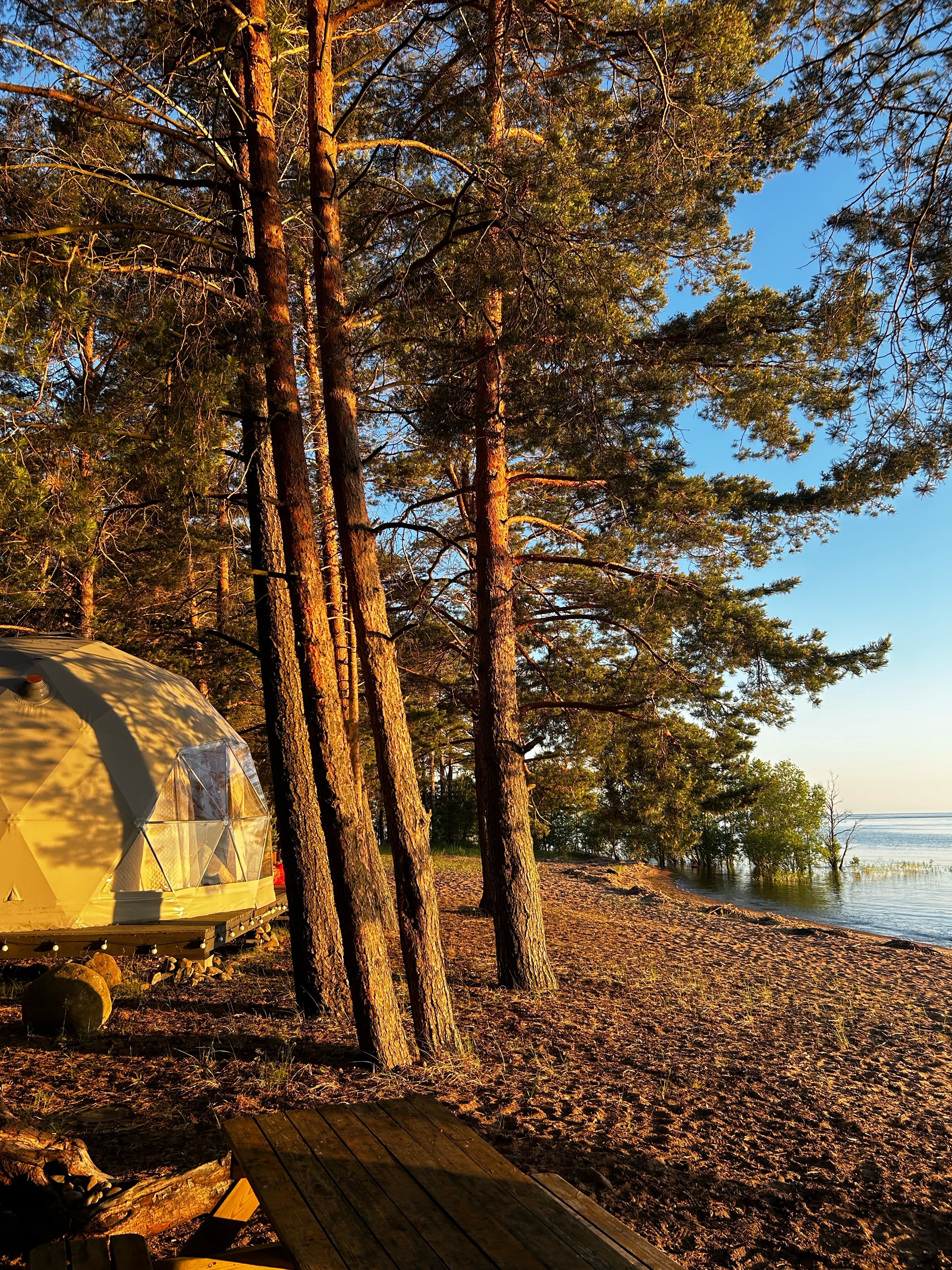 Фото Вéззика