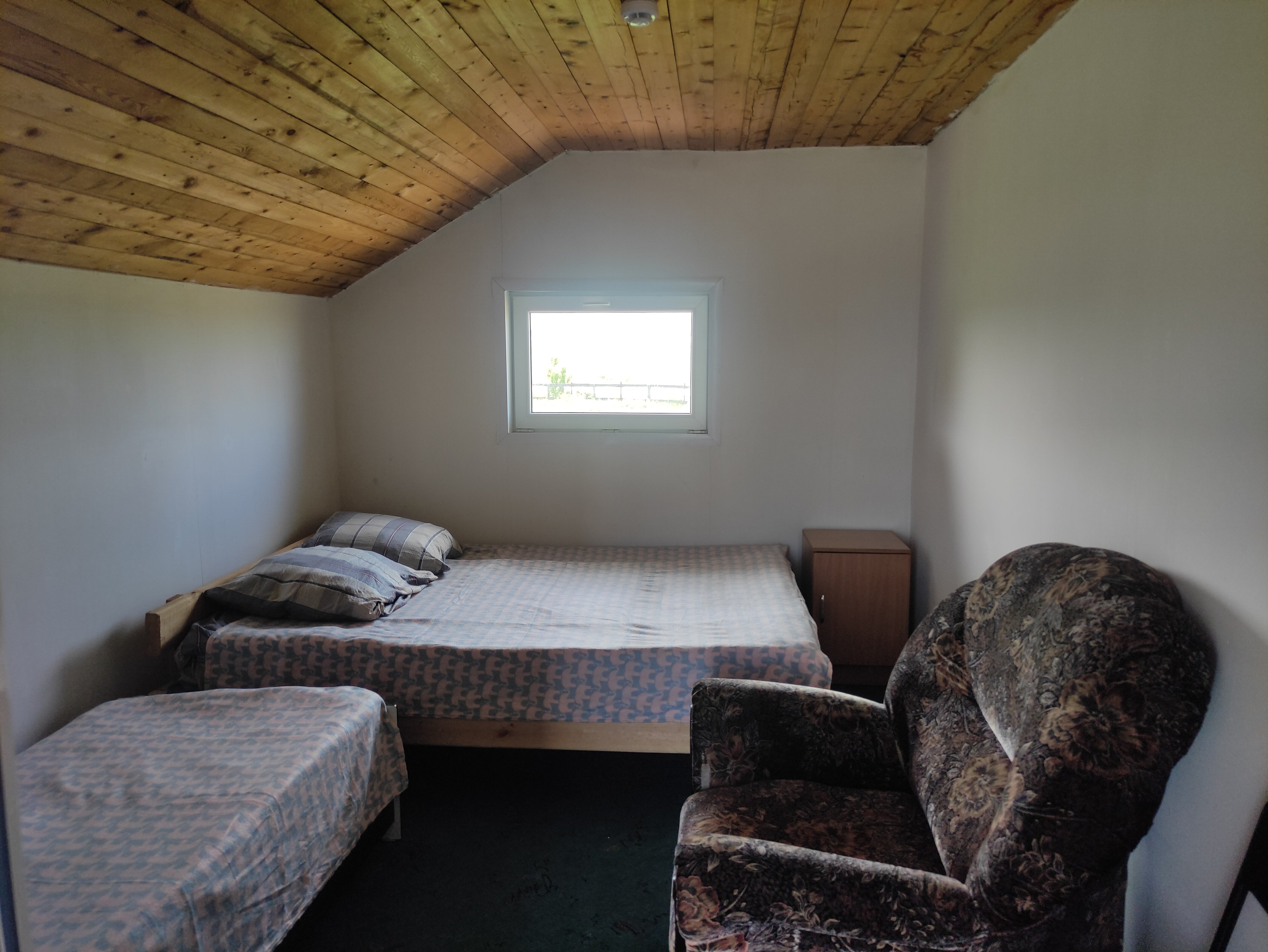 Фото Холодок