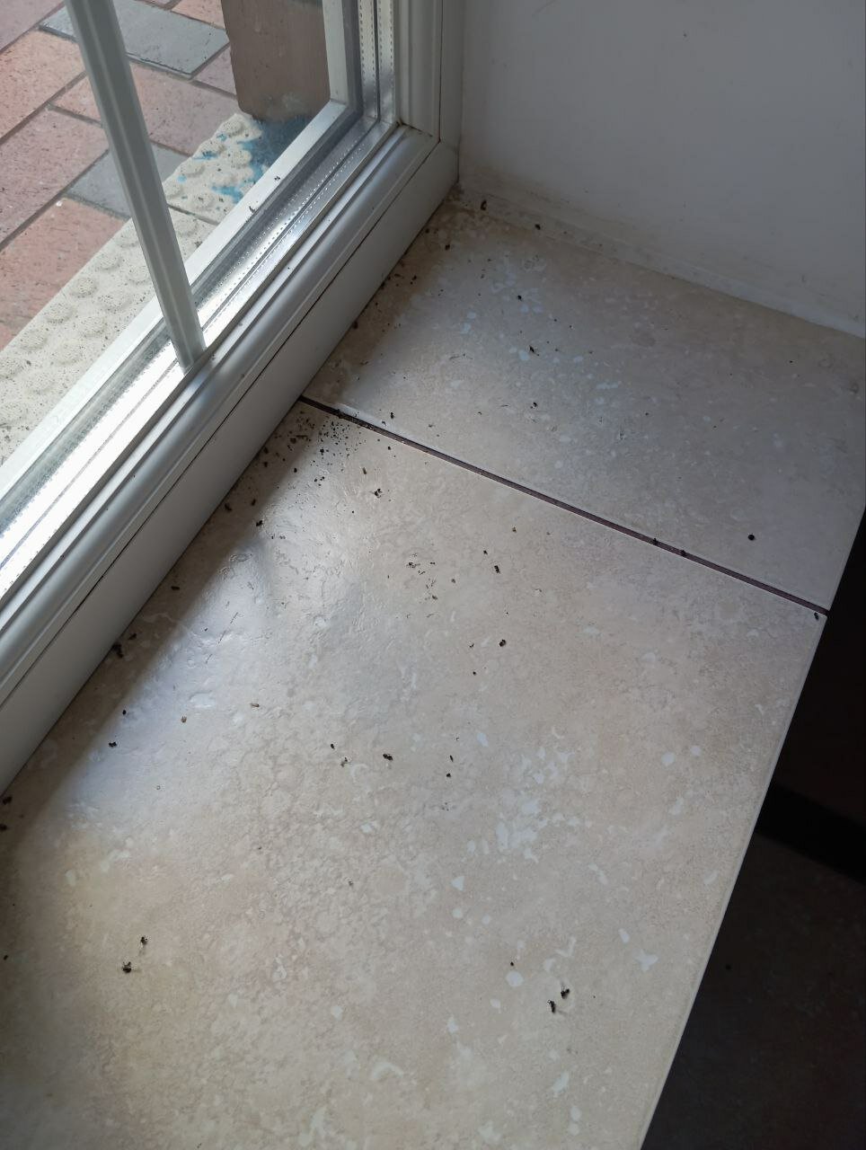 Фото Звёздная