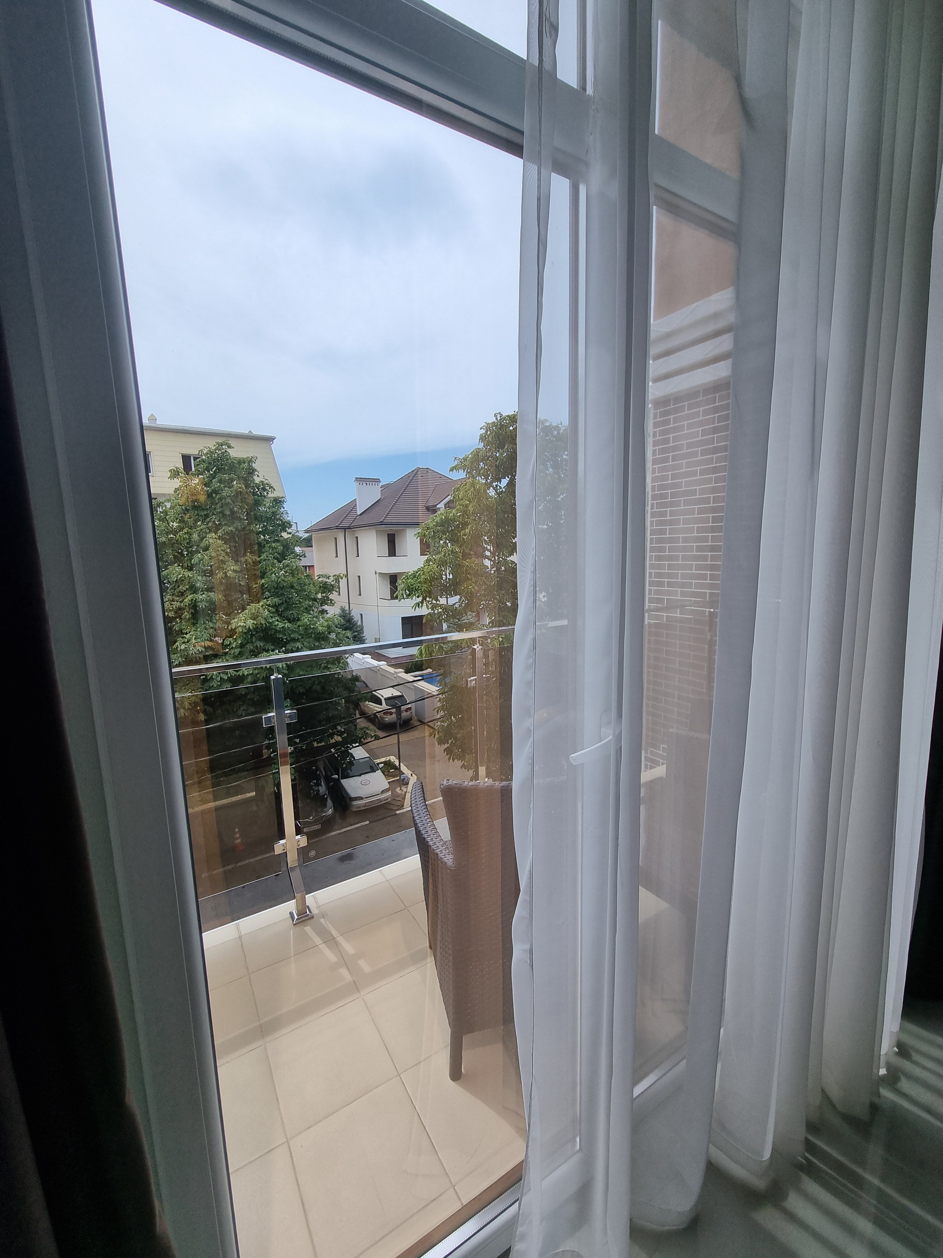 Фото Монарх