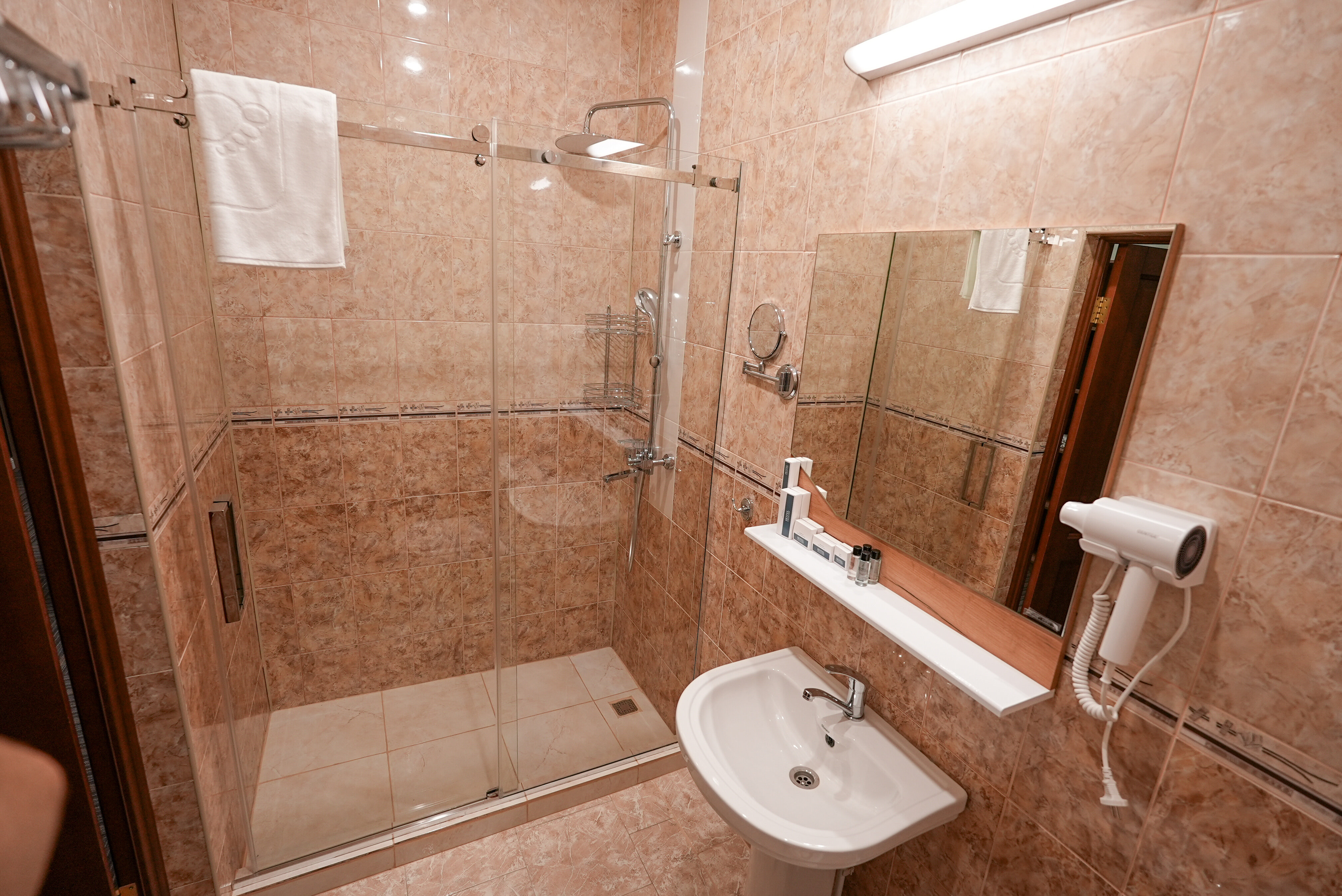 Фото Ахмат Арена