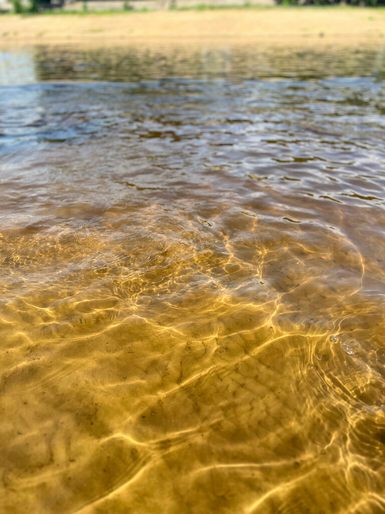 Пляж Городской пляж, Могилёв, фото