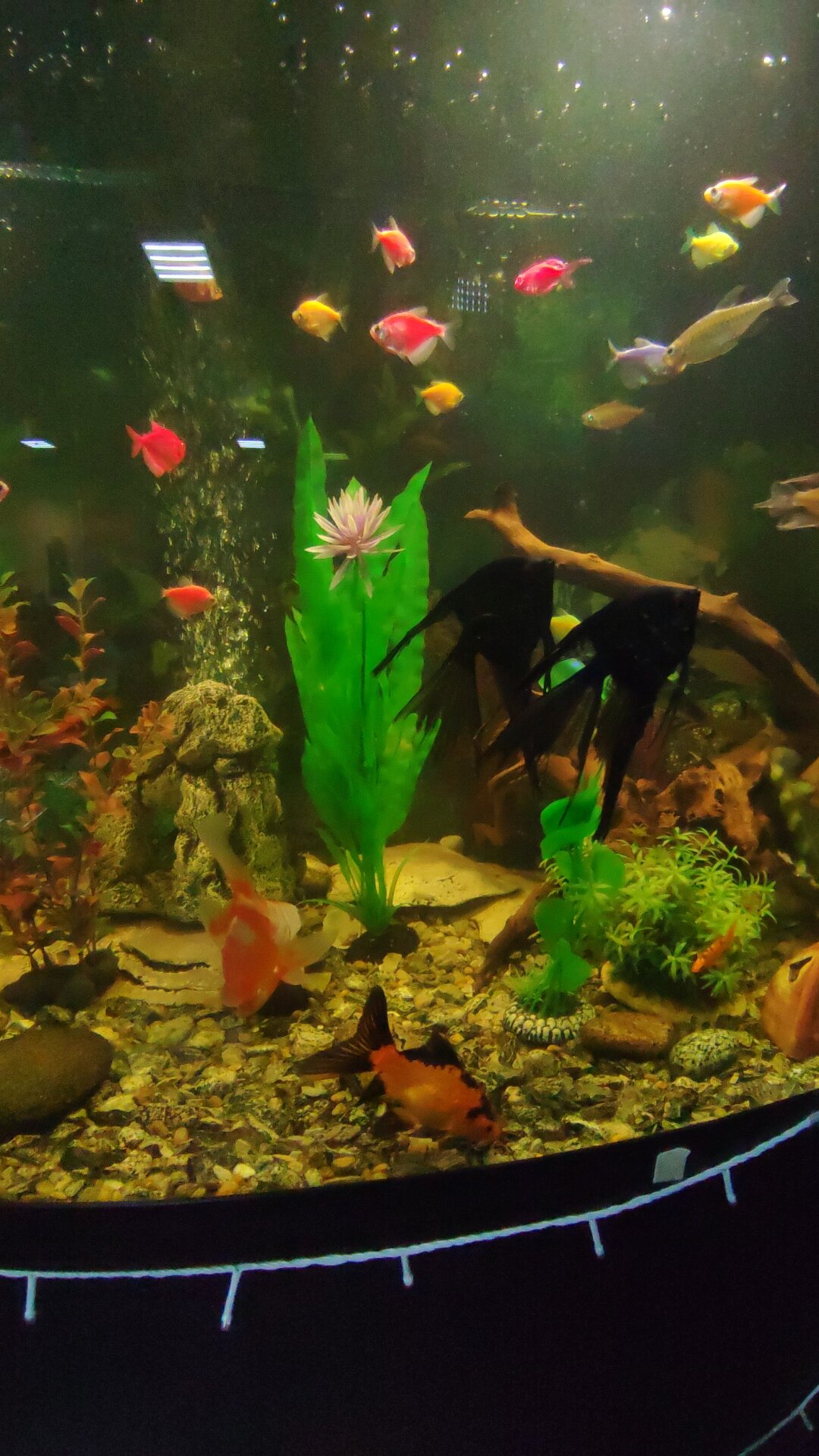 Фото Марина Молл