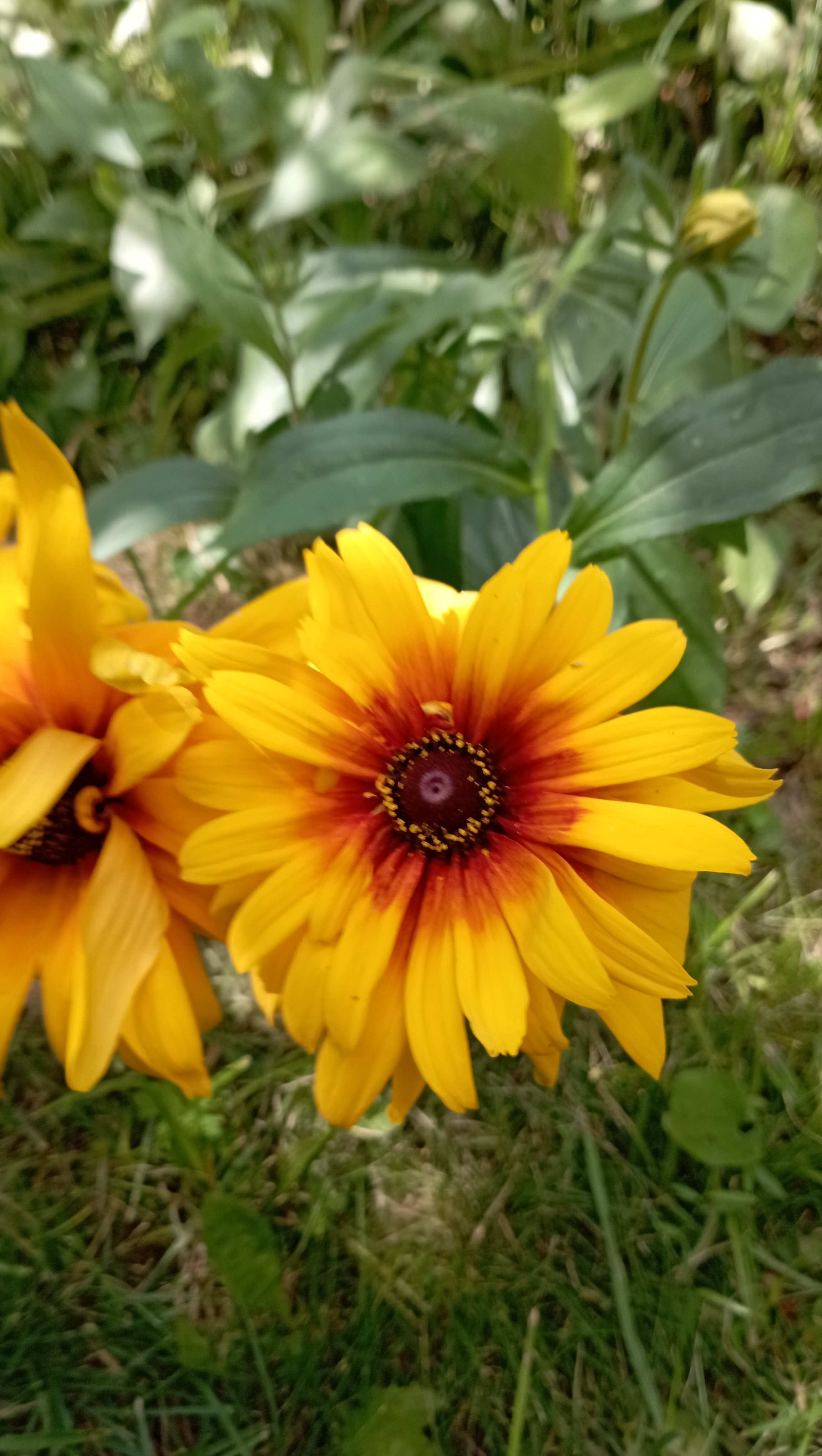 Фото Мотель Илевники