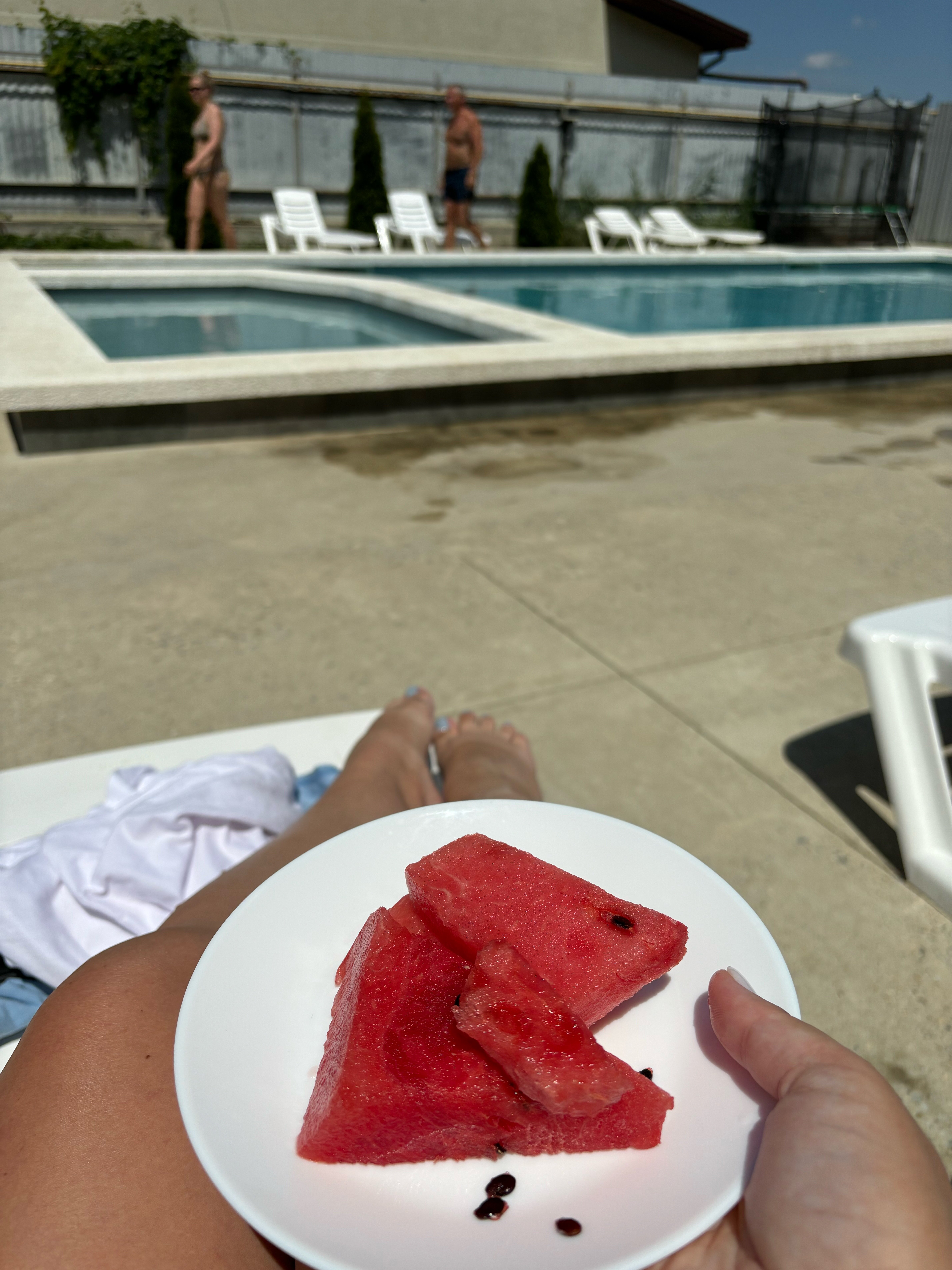 Фото Конкур