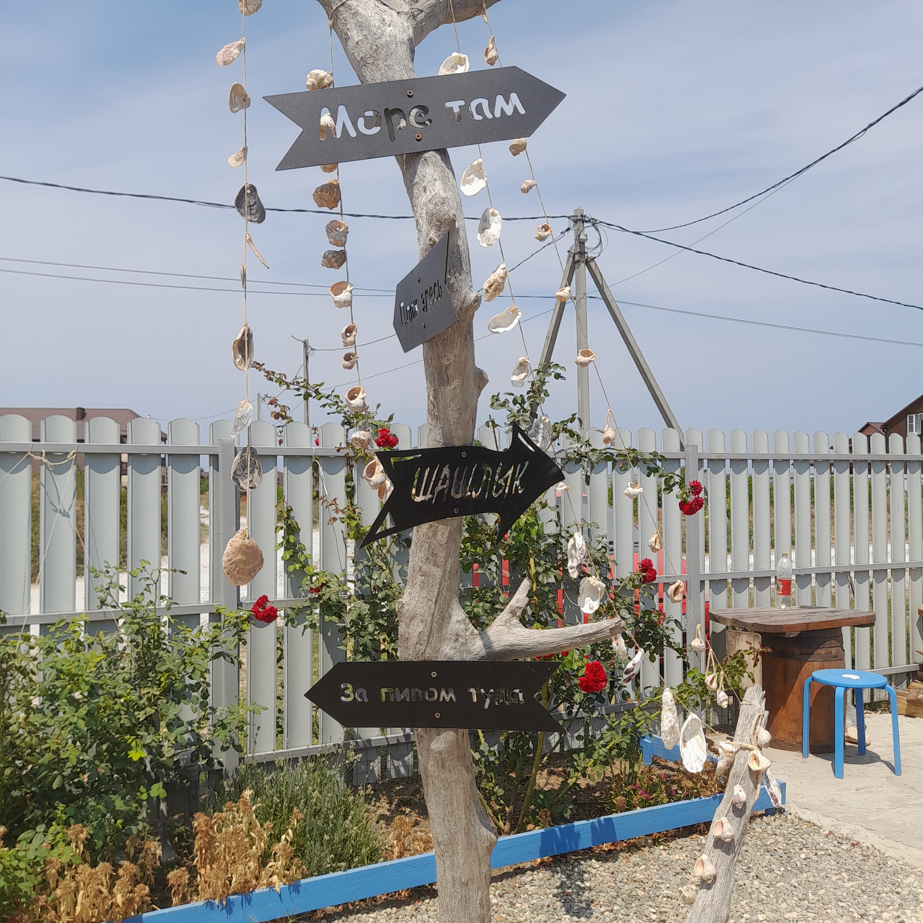 Фото 7 Ветров