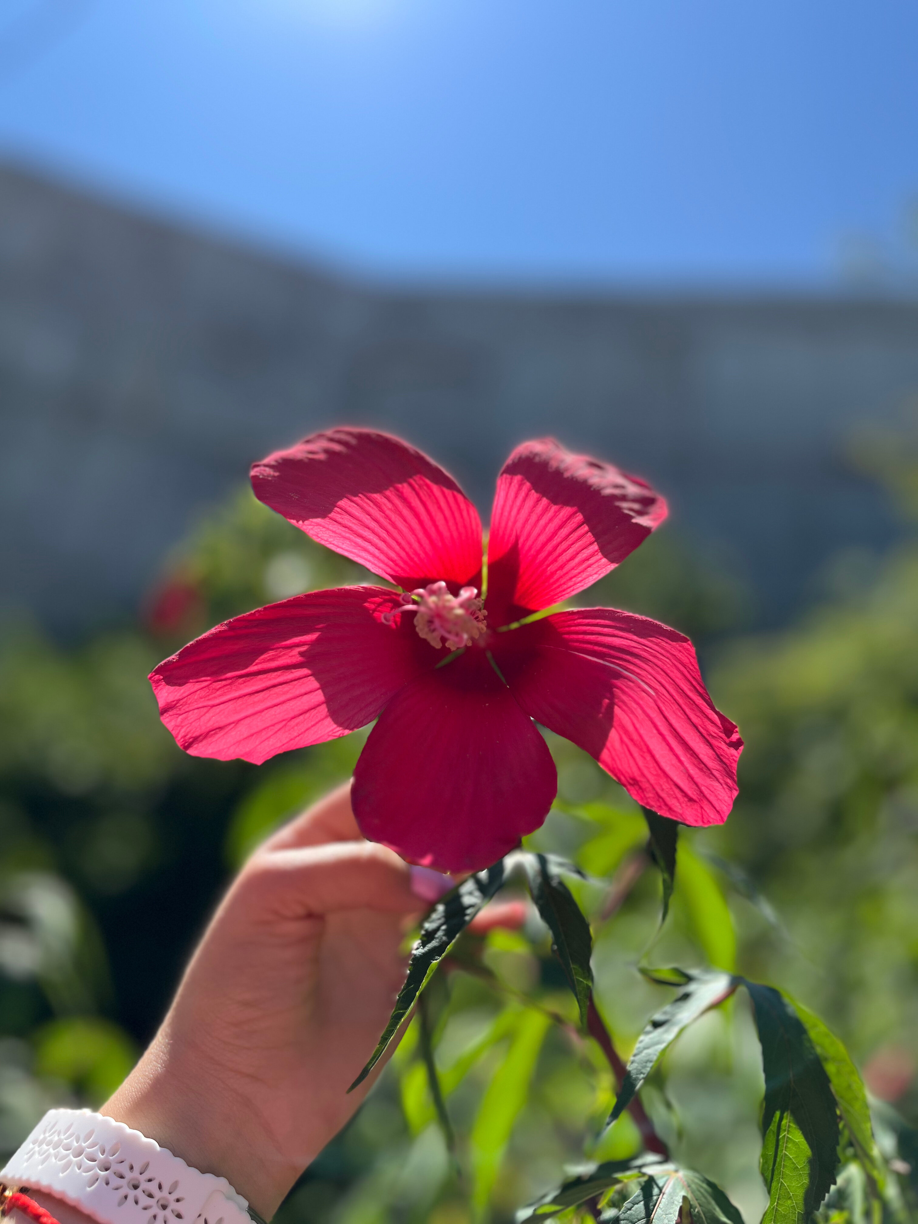 Фото Райский уголок
