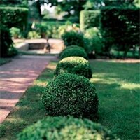 Фото Hotel Villa Sorgenfrei & Restaurant Atelier Sanssouci