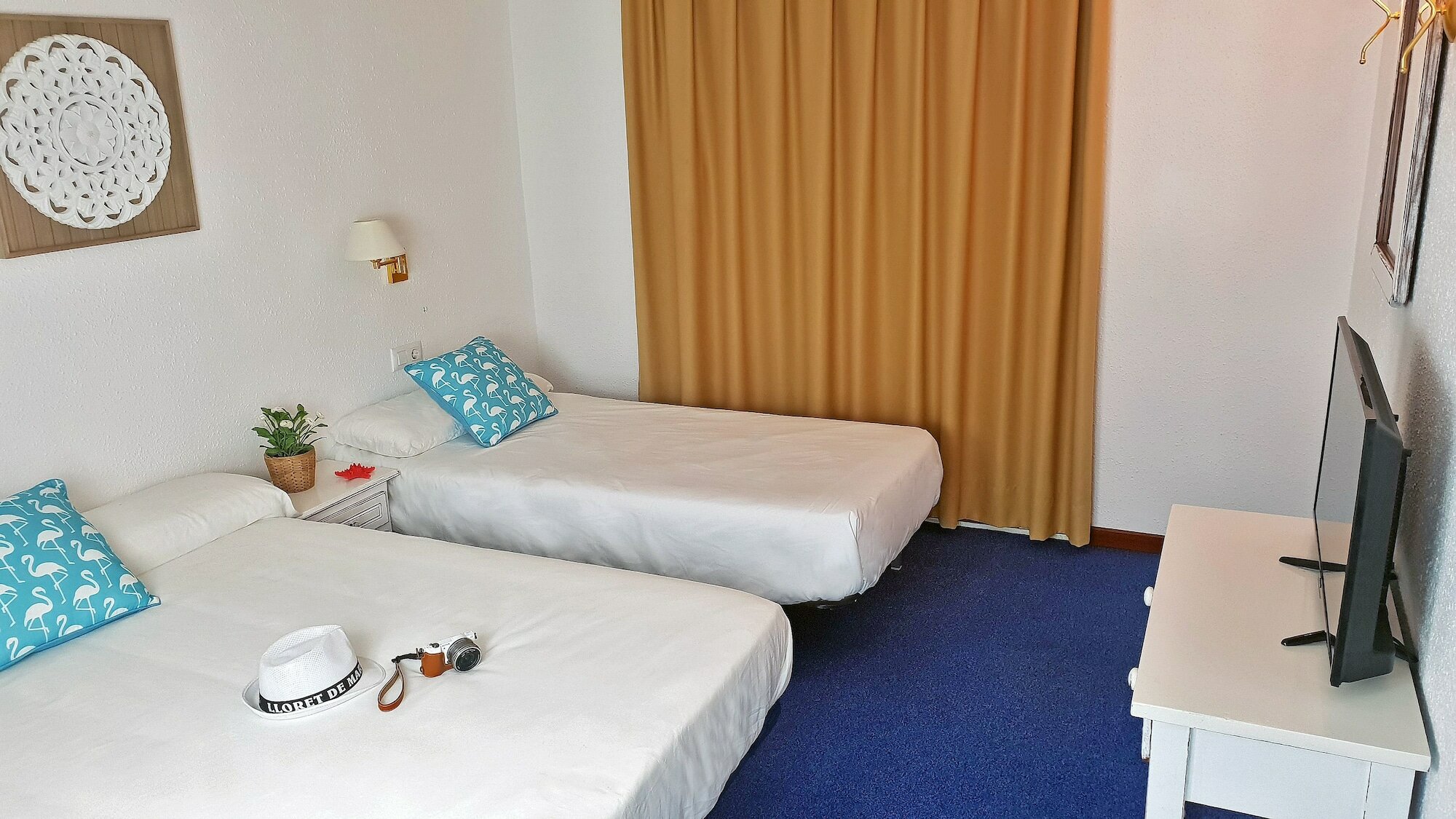 Фото Hotel Mireia