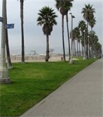 Фото Venice on the Beach Hotel