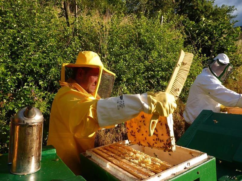 Фото Hotel Stilfserhof