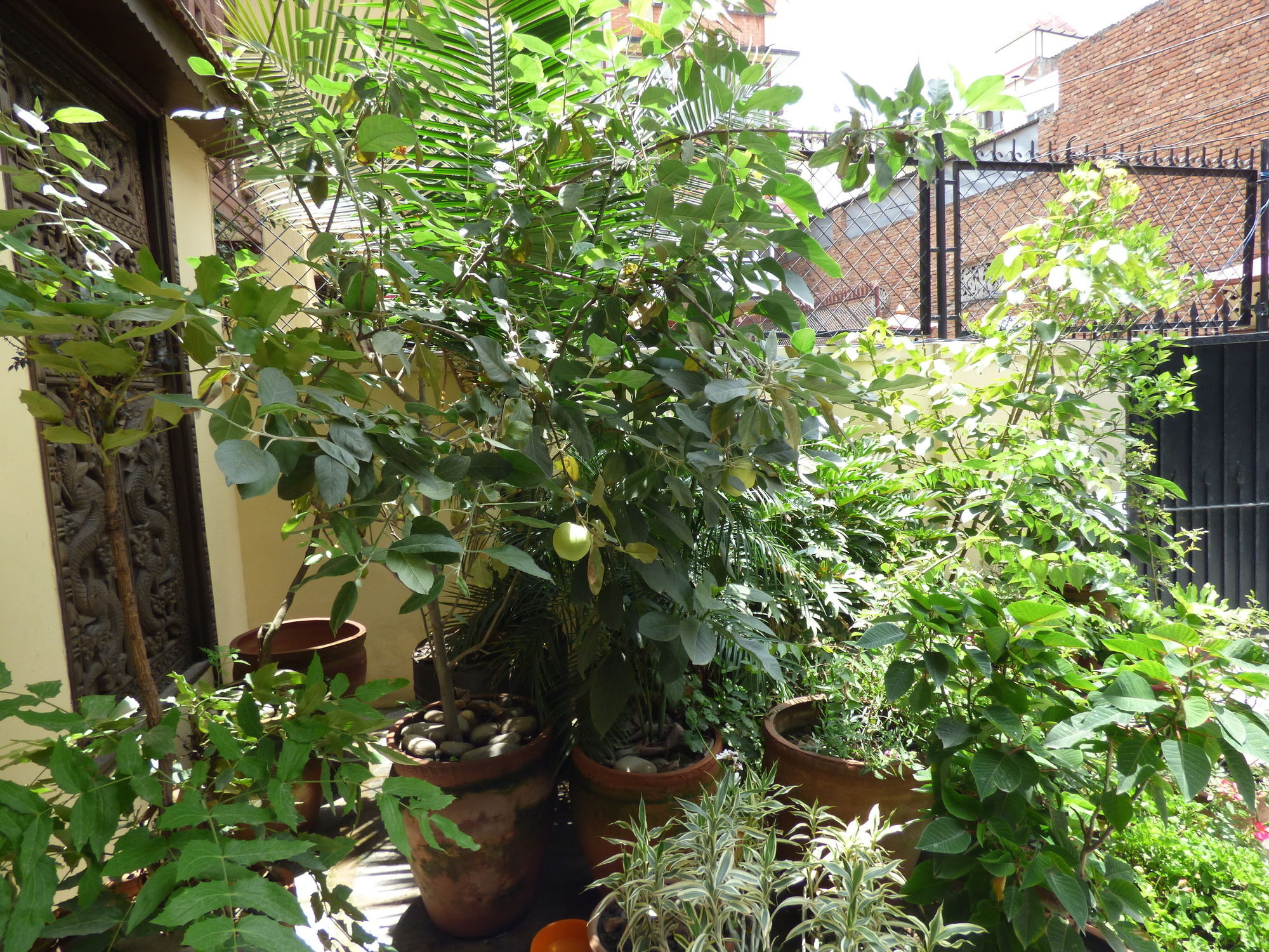 Фото 72732263988