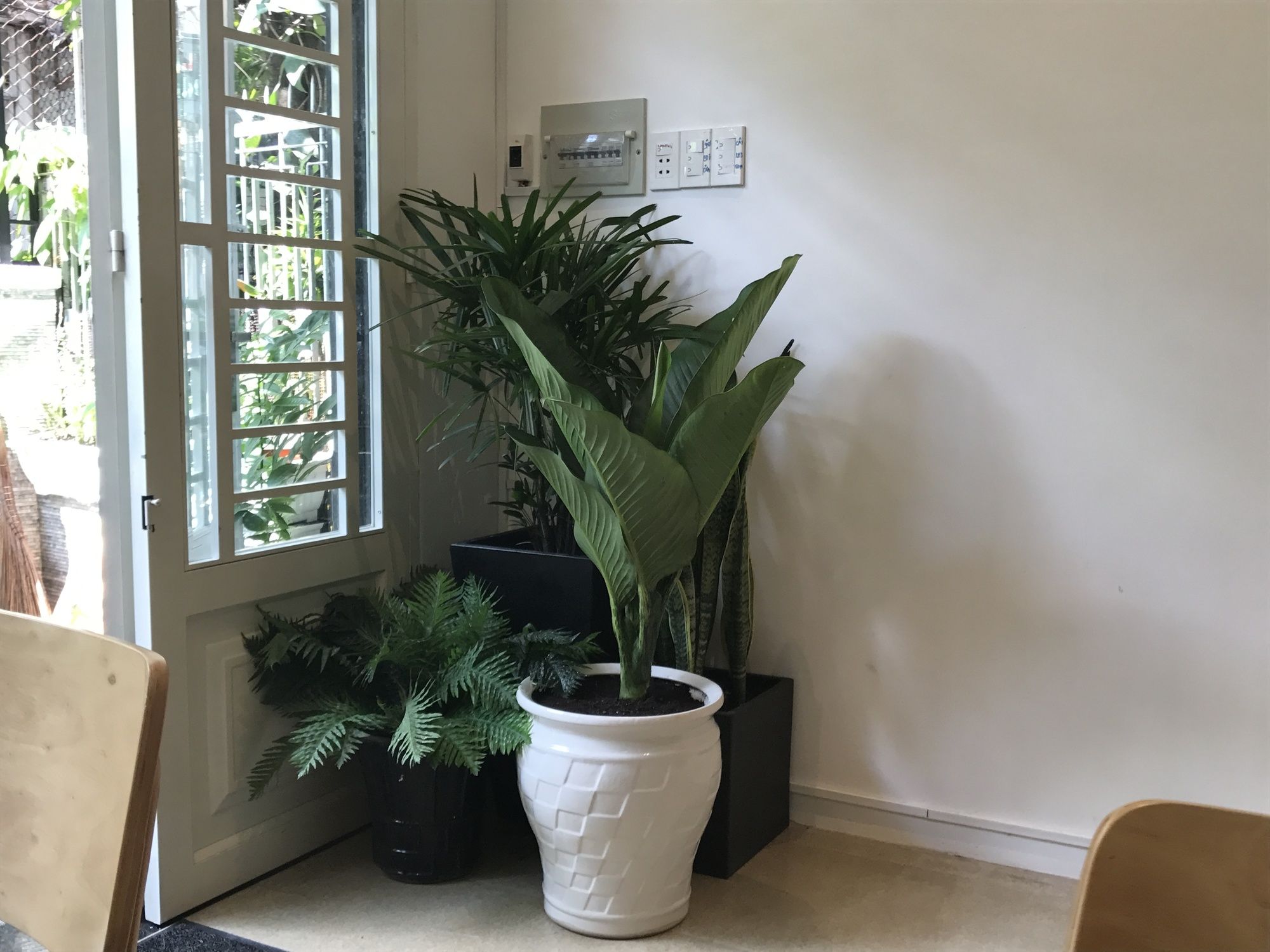 Фото Ace Home Viet Nam