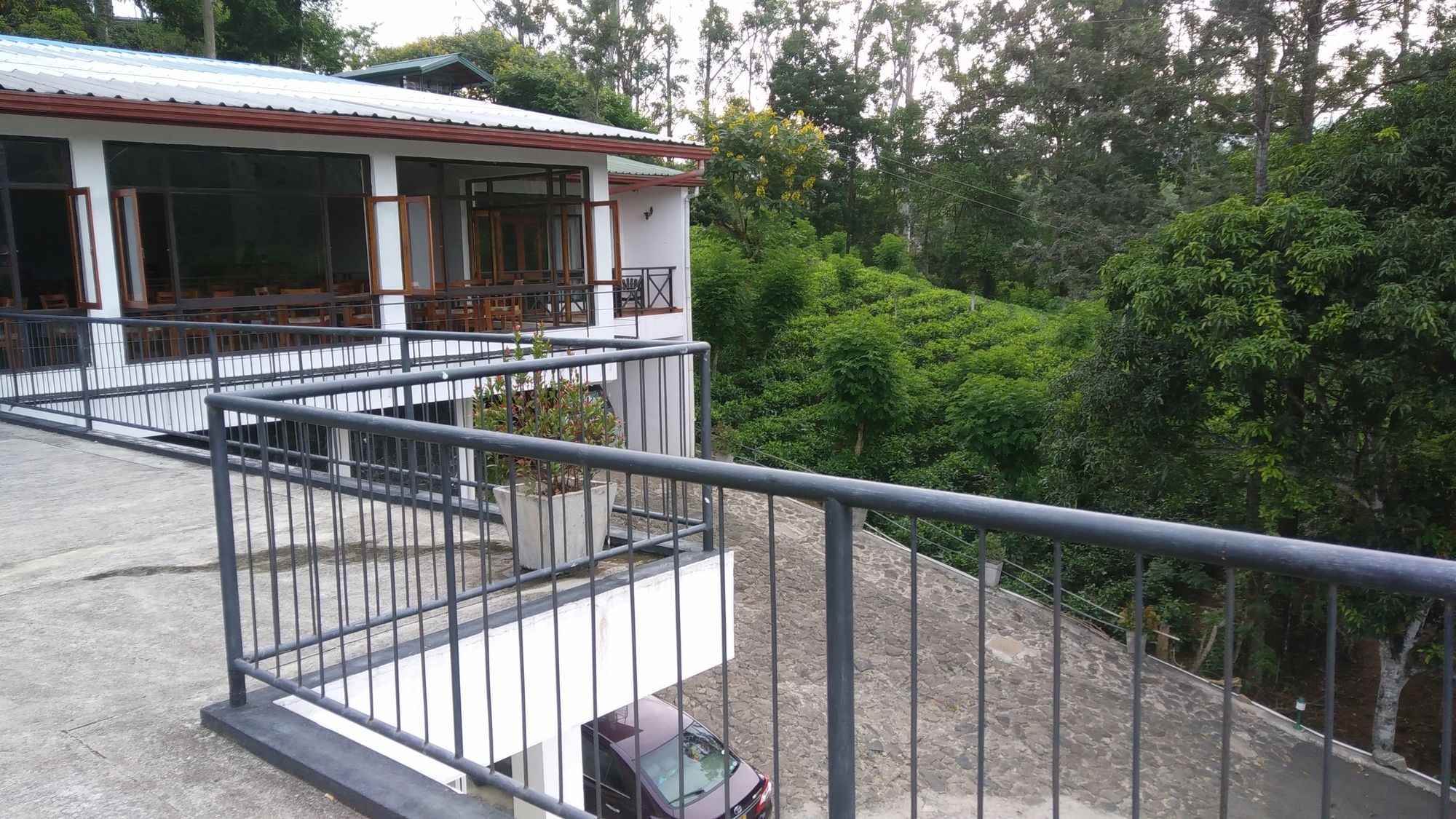 Фото Hotel Alta Vista