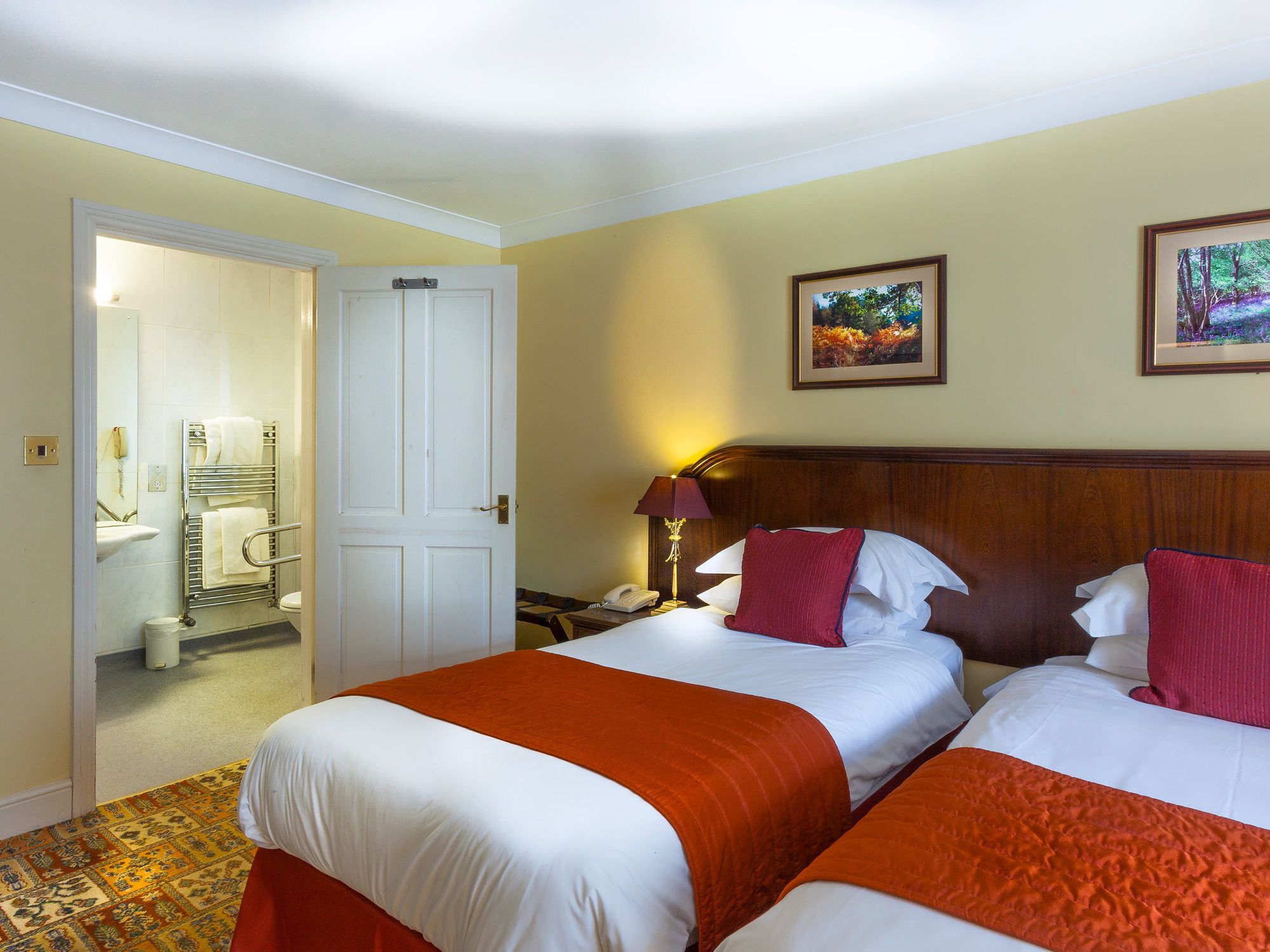 Фото The Riverside