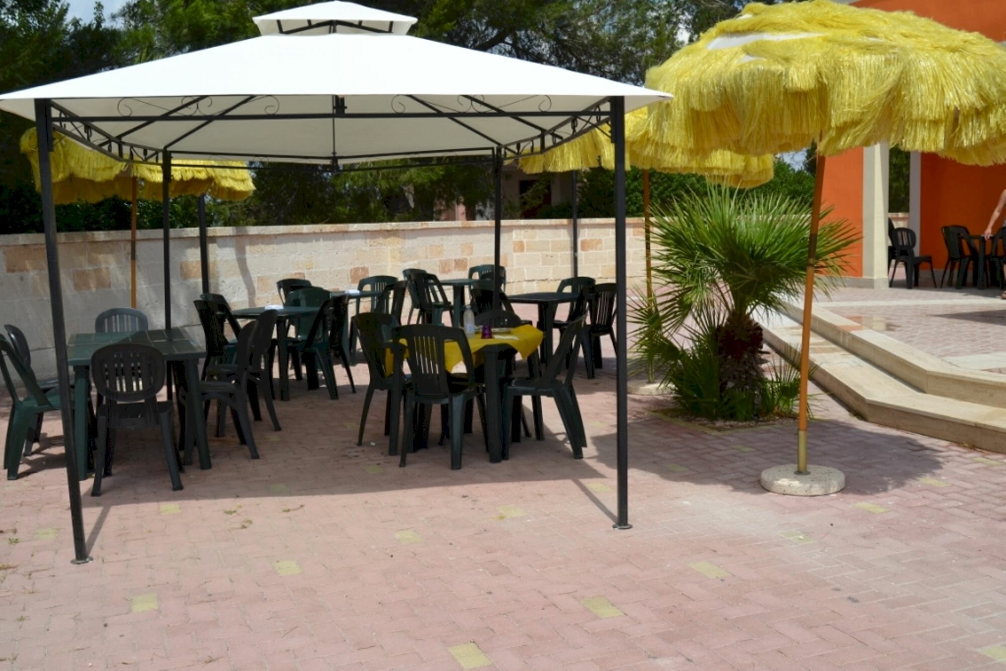 Фото Samanà Bed