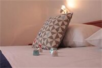 Фото Apartments Nerio