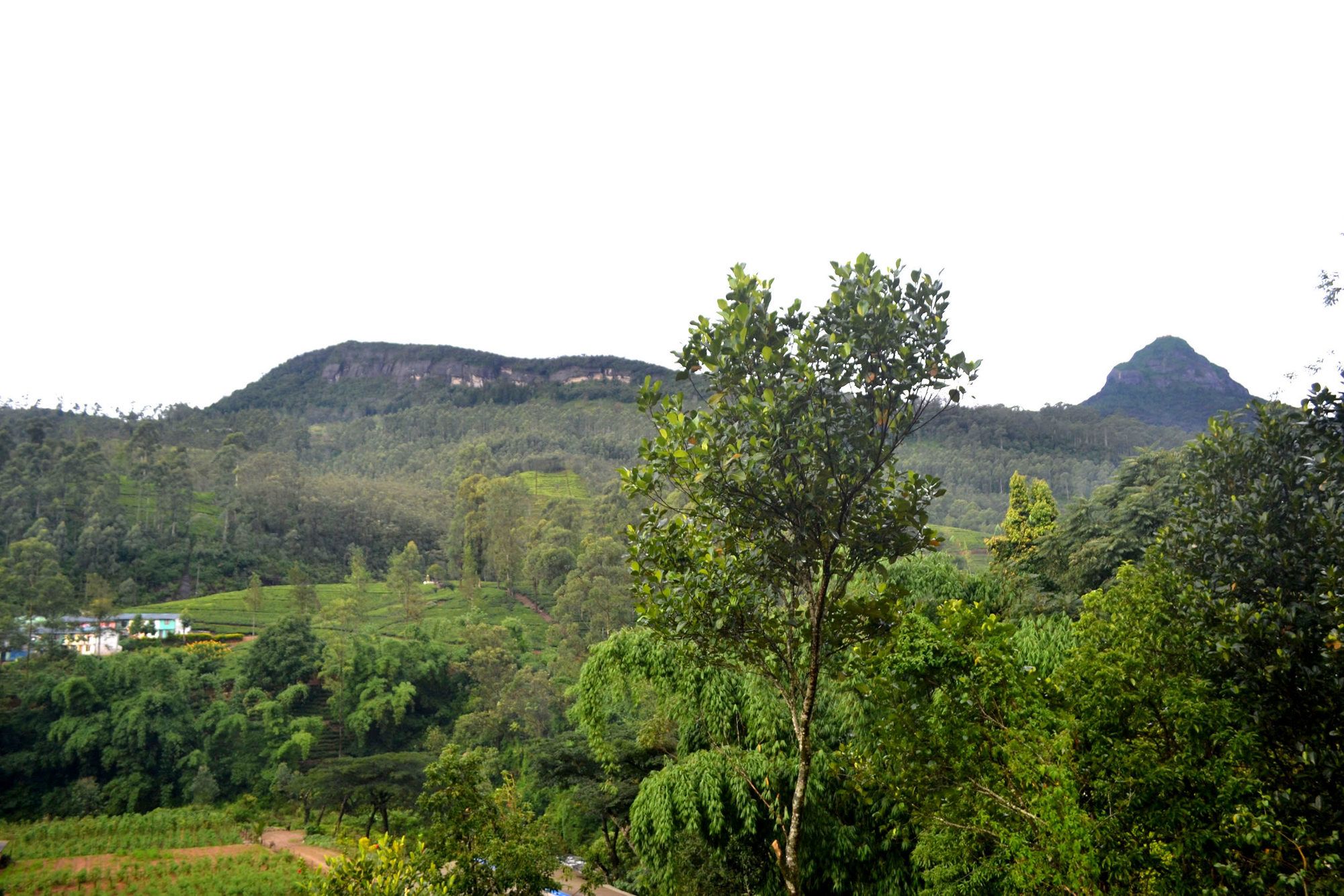 Фото Grand Adam's peak