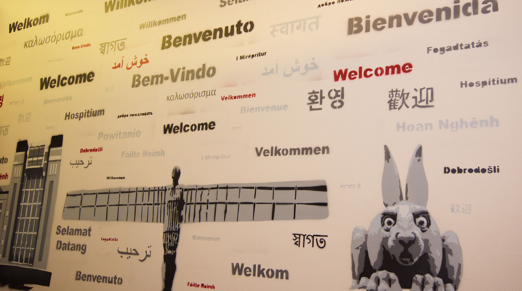 Фото Albatross Hostel