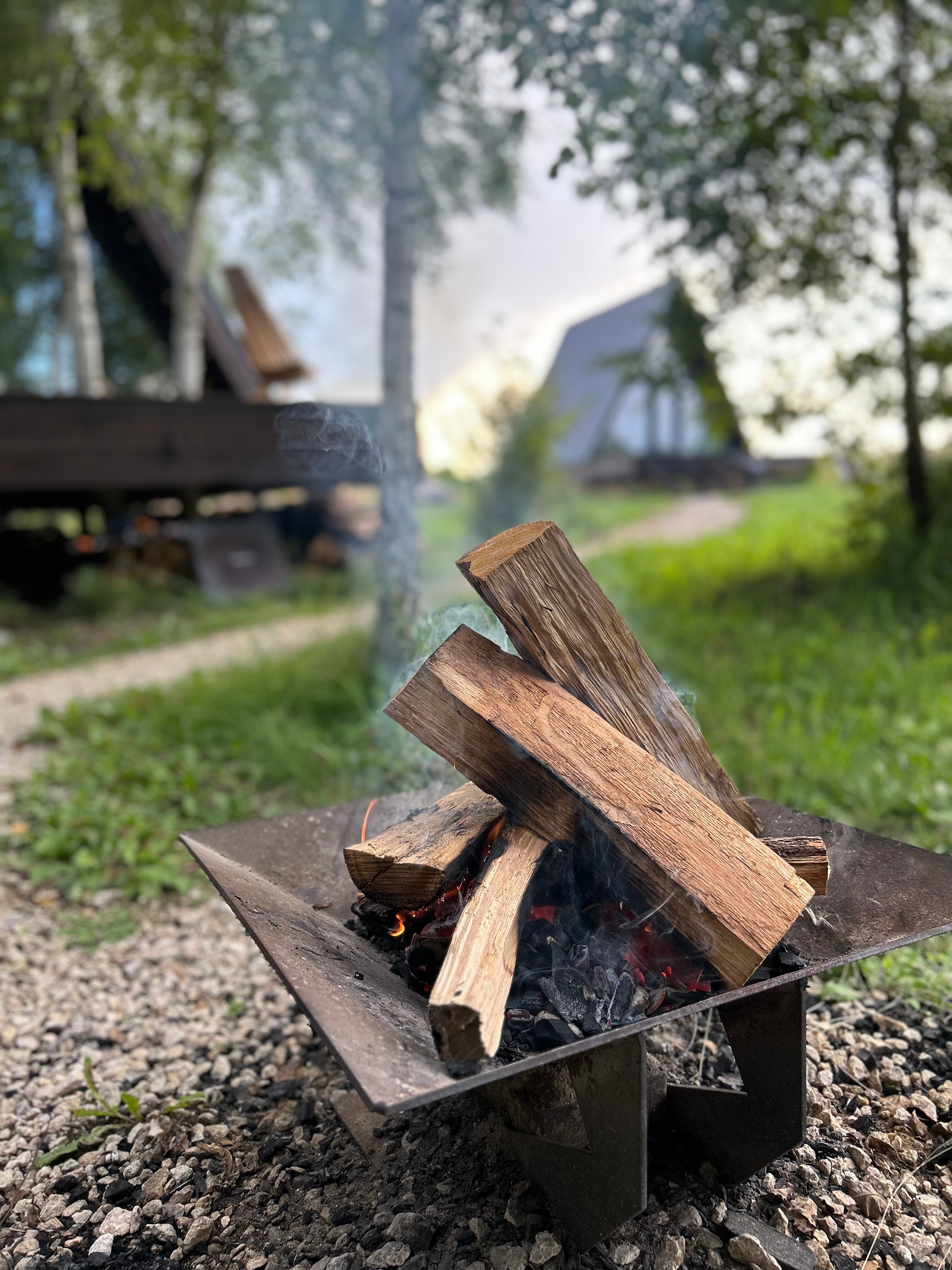 Фото Лес и небо