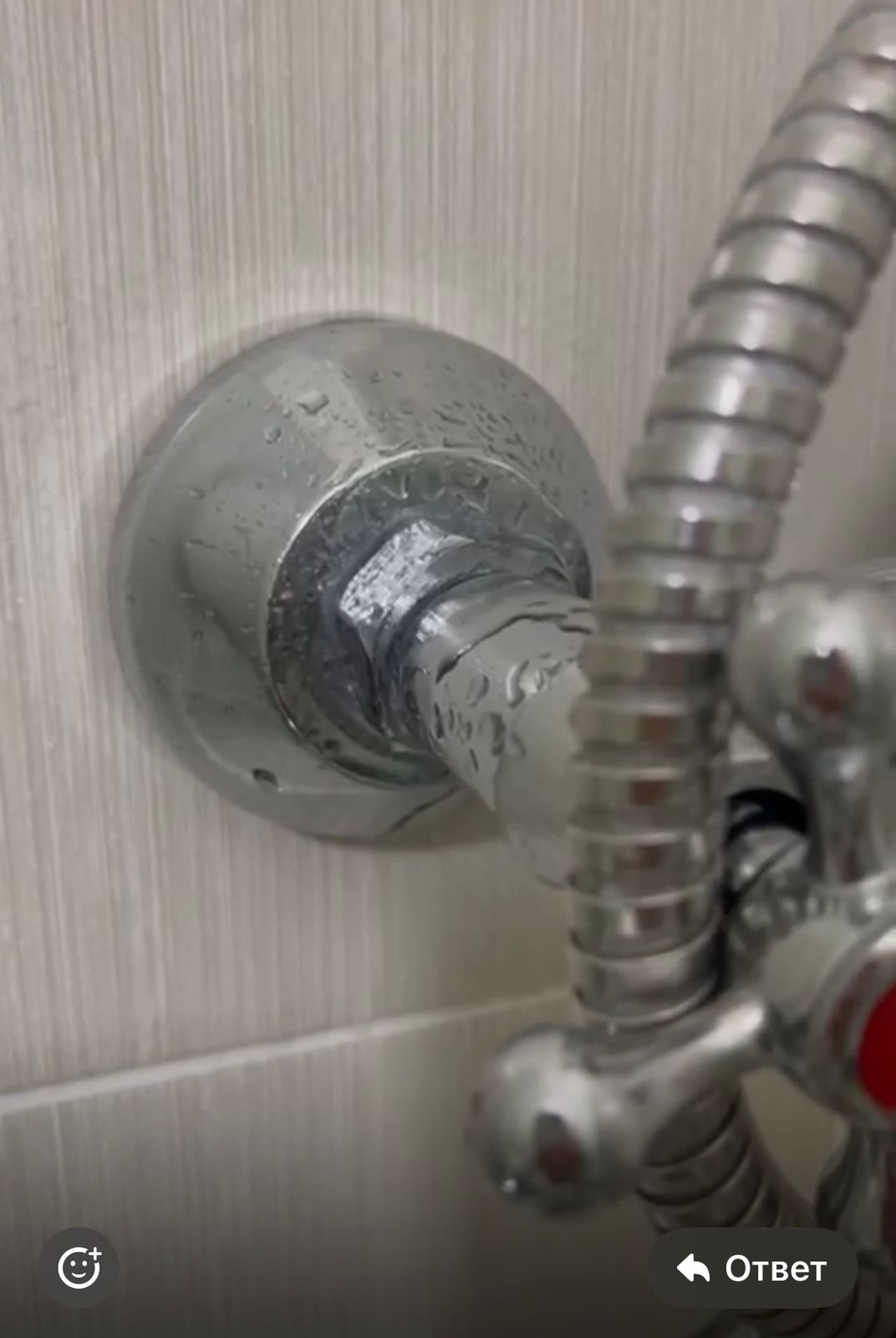 Фото Жемчужина Сочи