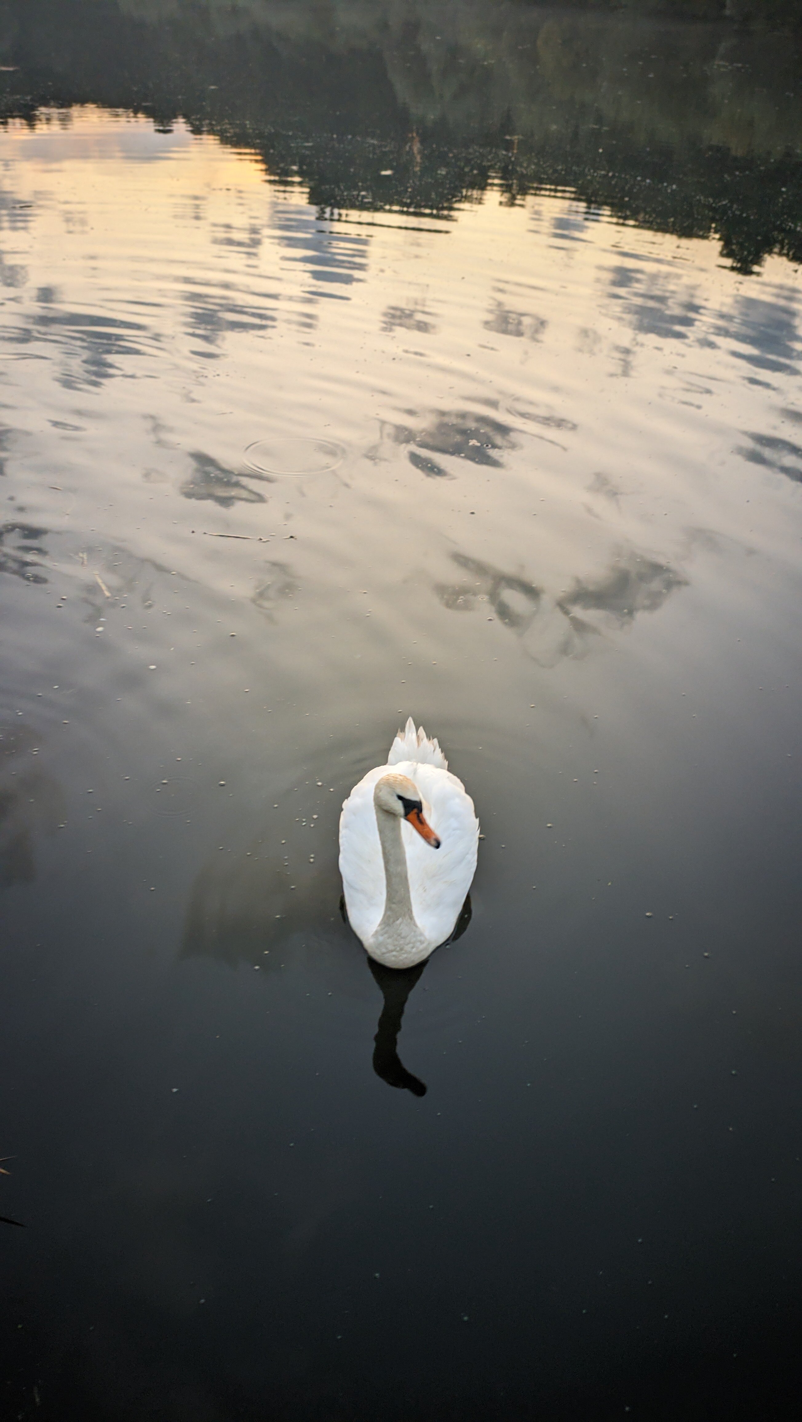 Фото Беловежская гостевая