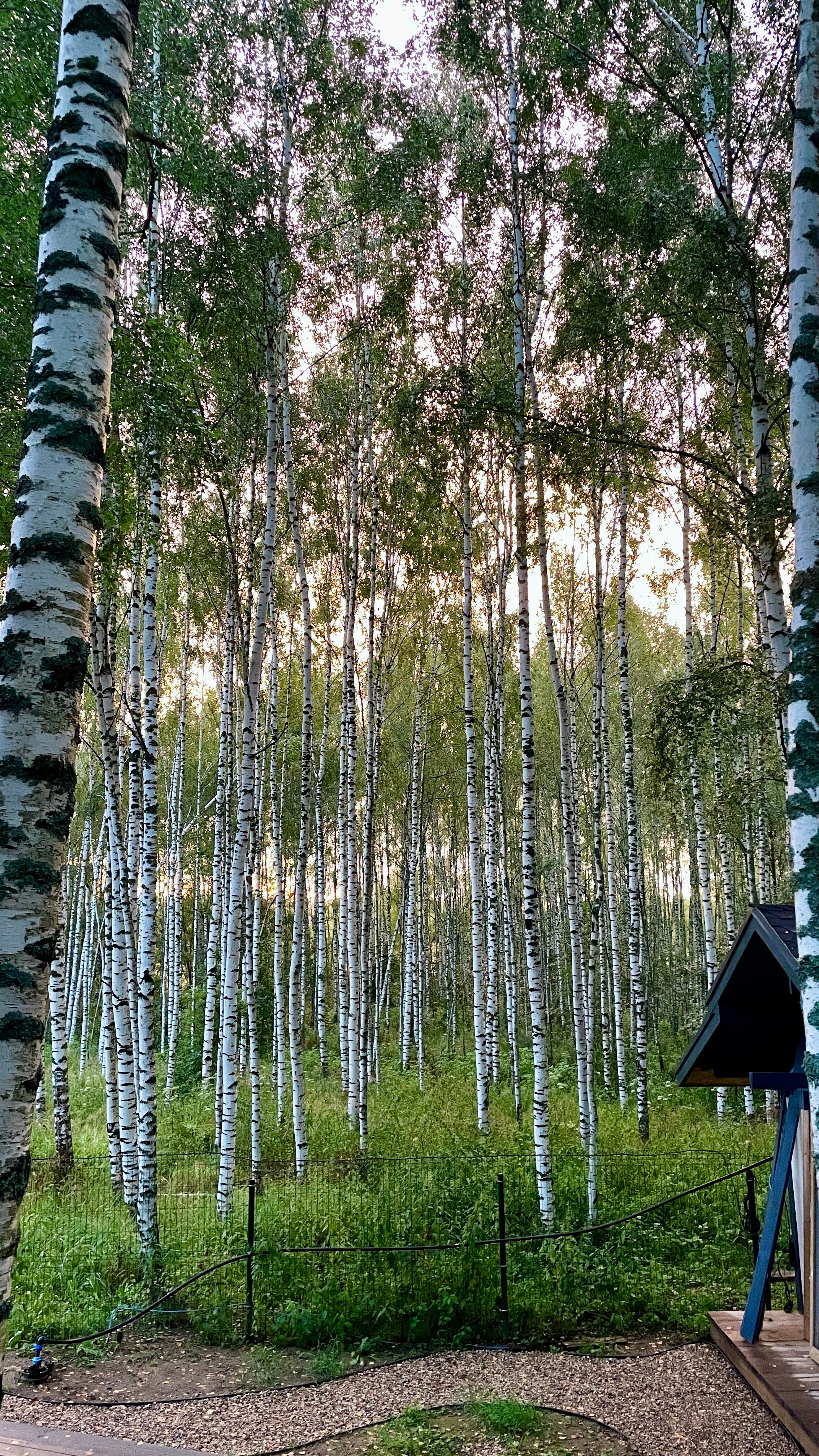 Фото Овчинино Лайф