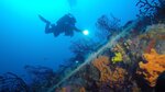 Bubble Club (İstanbul, Sarıyer, İstinye Mah., Koru Cad., 4), diving