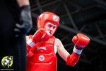 Puncher-nn (Vorovskogo Street, 3), sports club