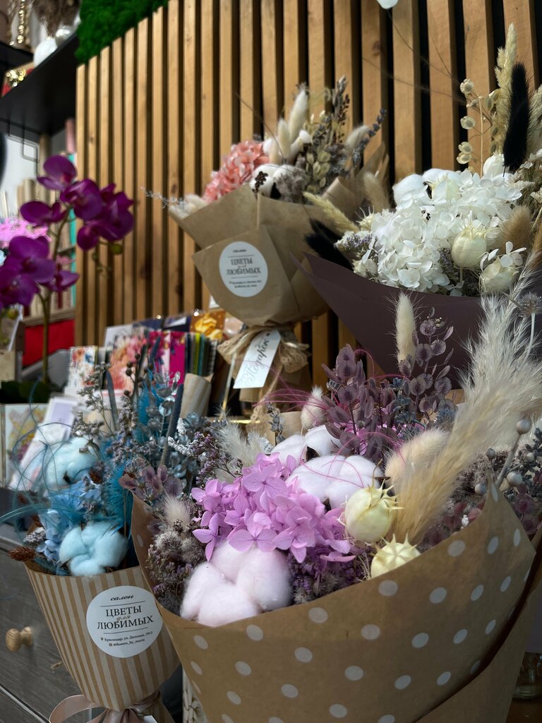 Вячеслав Т.