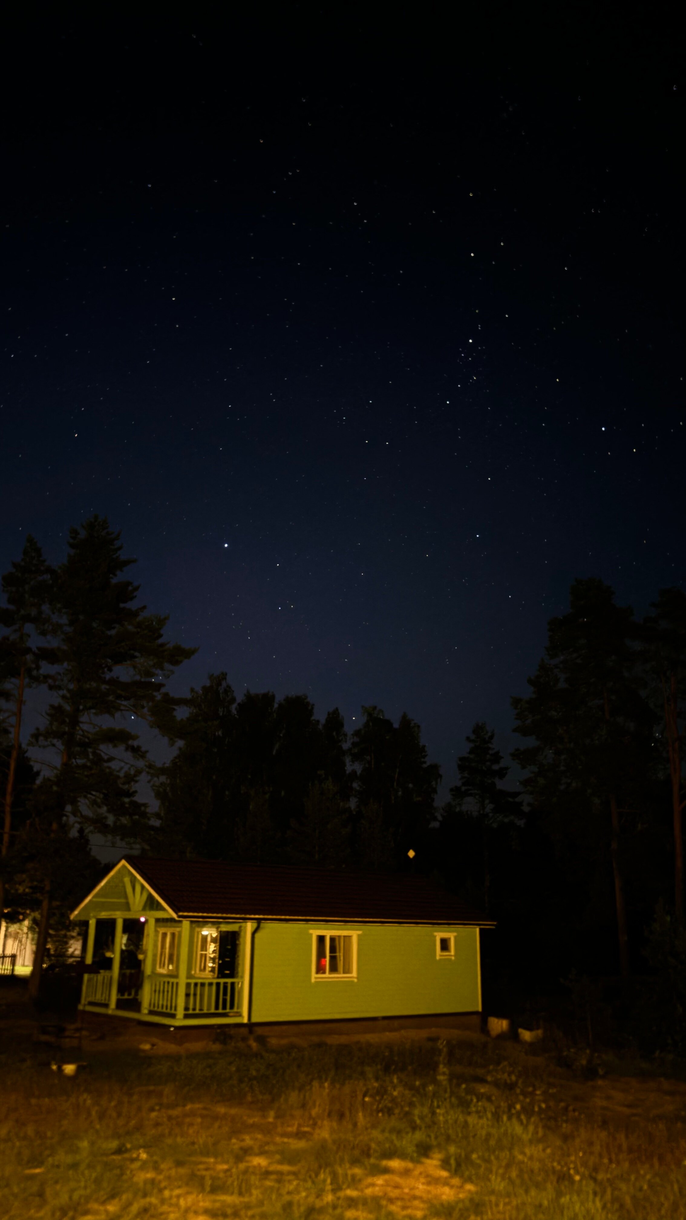 Фото Вереск