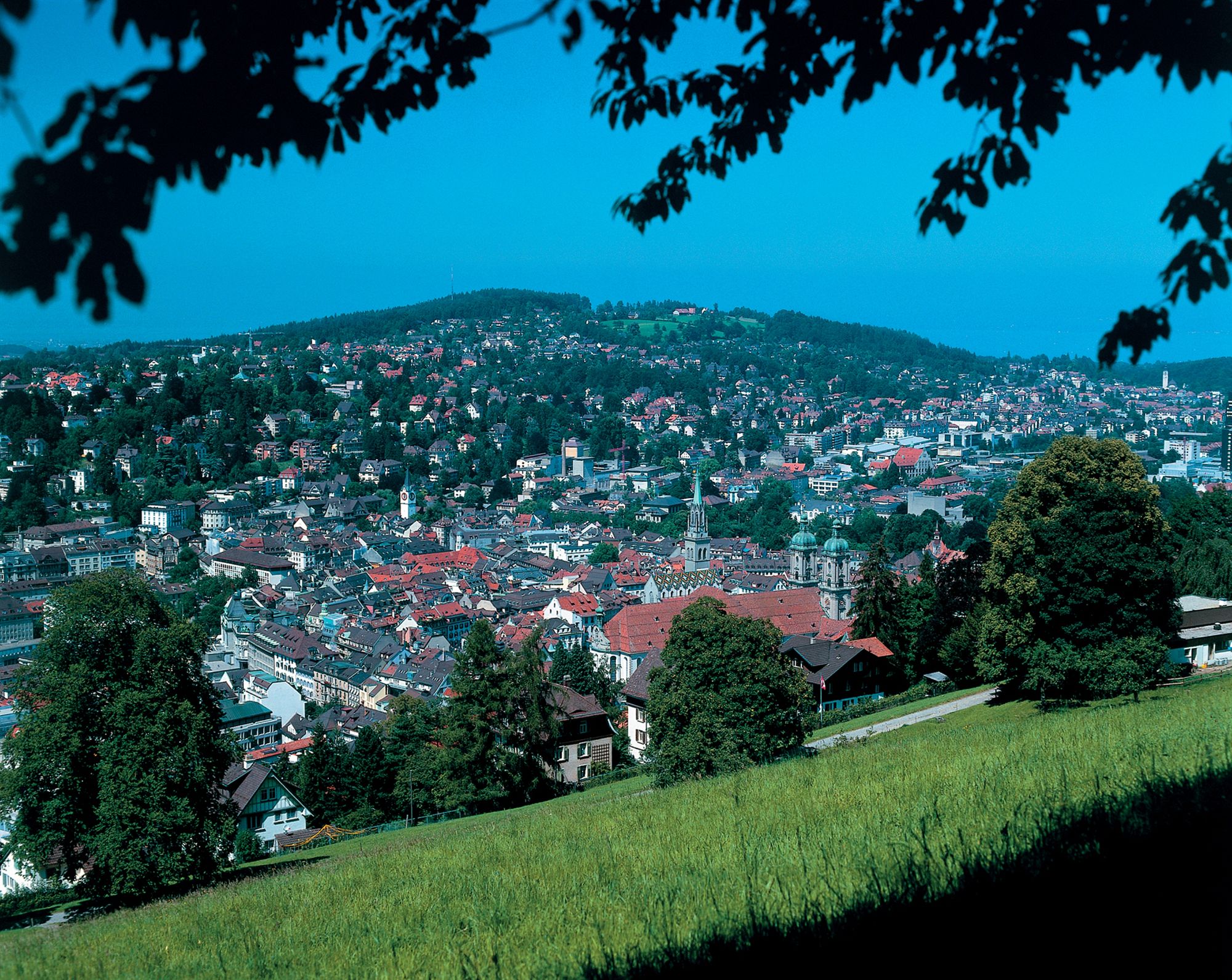 Фото Radisson Blu Hotel, St. Gallen