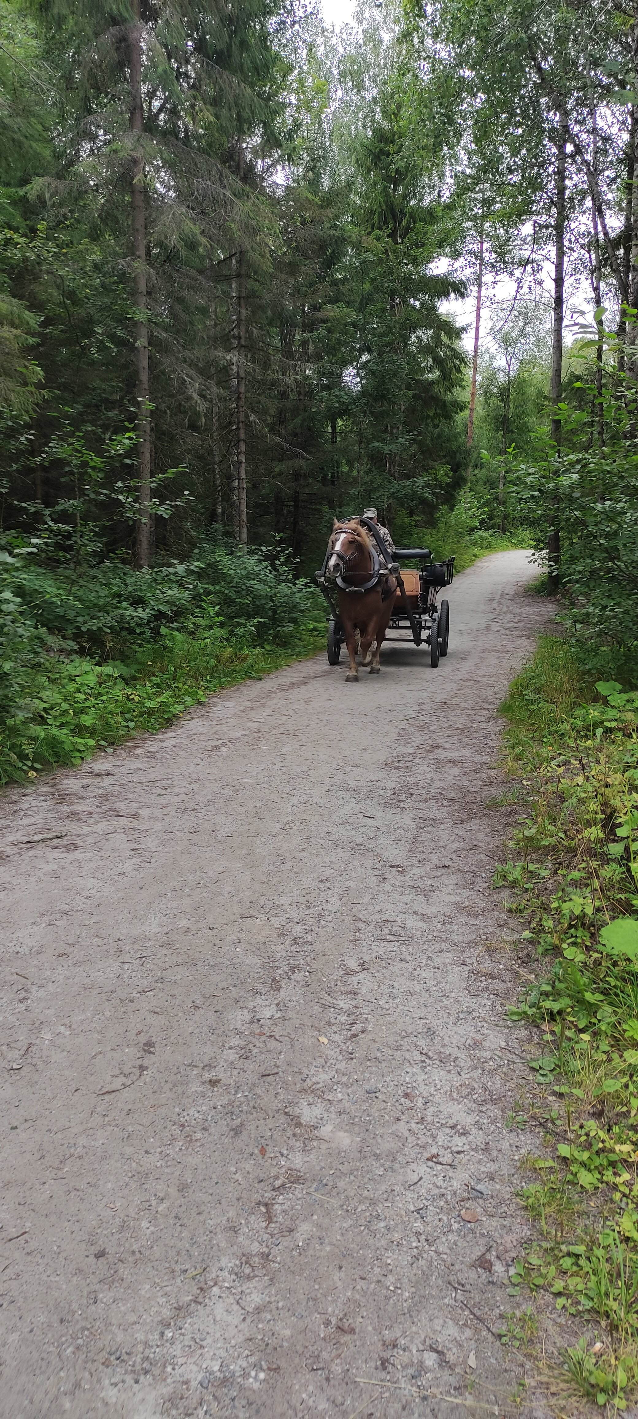 Фото Белые мосты