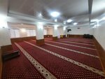 Янъы Ботке Джамиси (село Дубки, улица Каранфиль, 20А), mosque