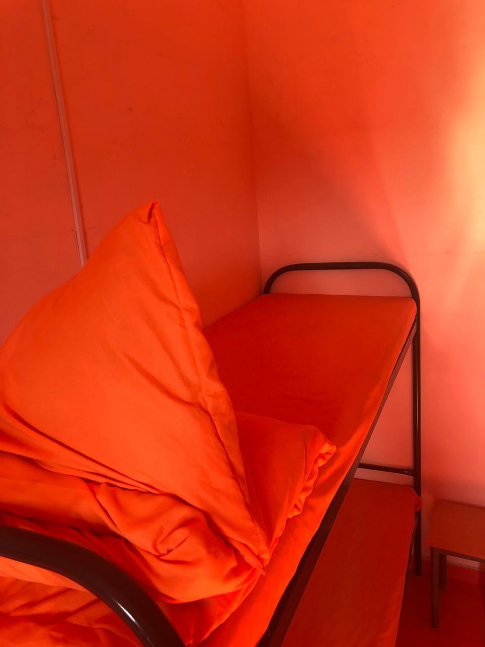 Фото Вежливый Лось