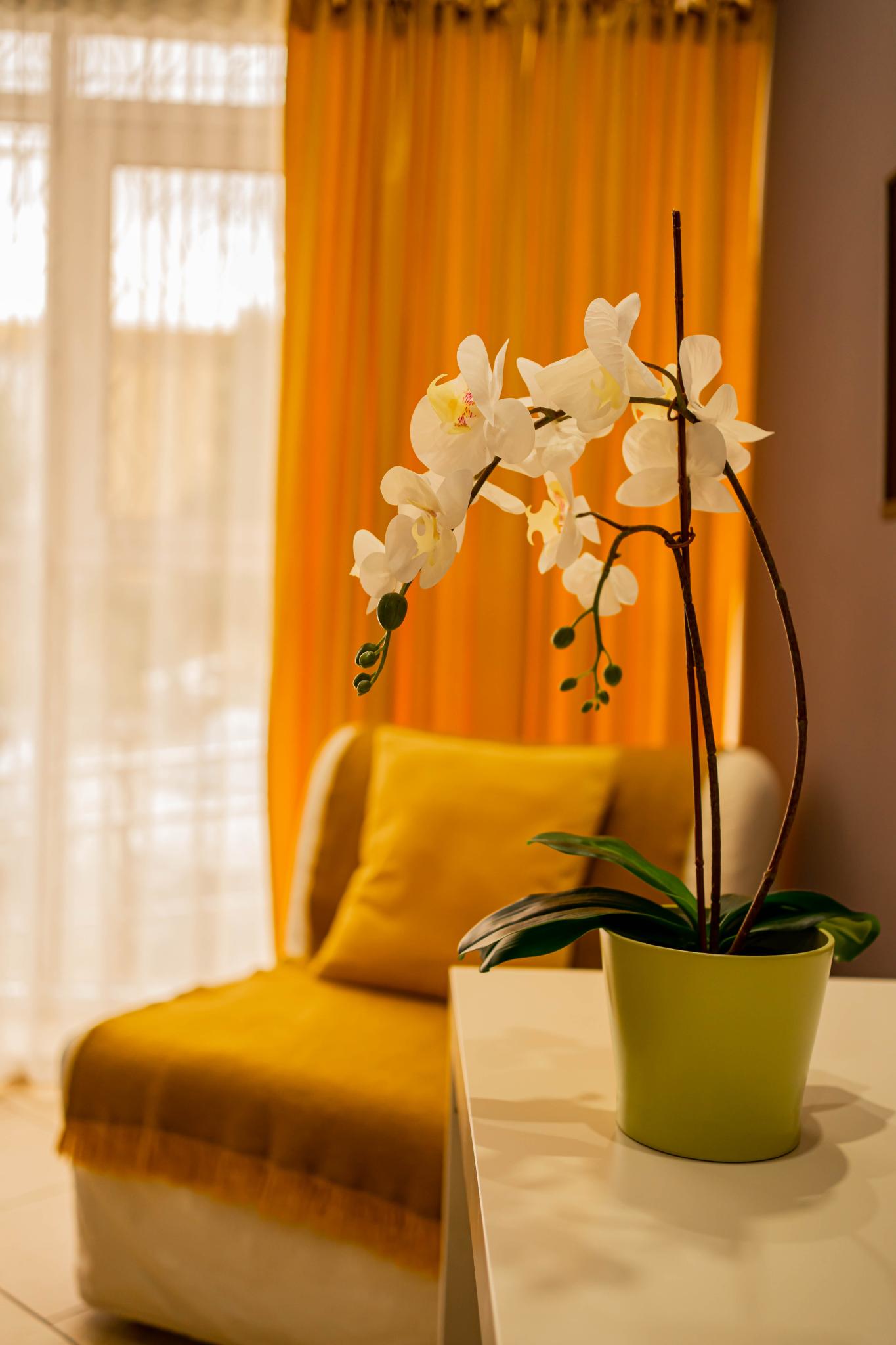 Фото Отель Олимп