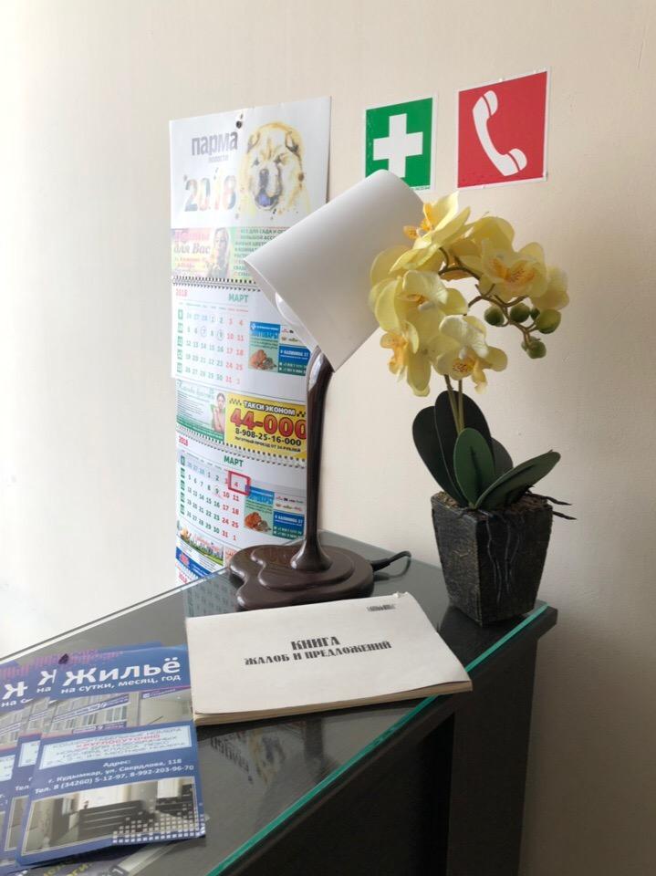 Фото Багира