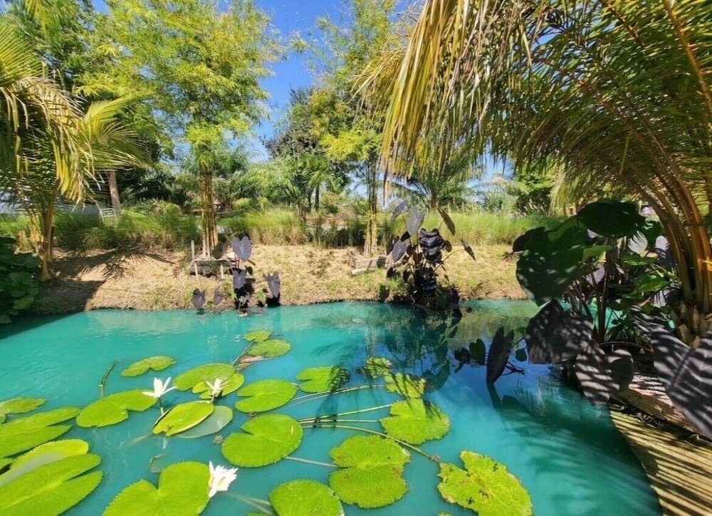 Фото Smile buffalo resort