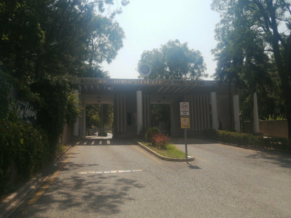 Universidad Ankara University Child Culture Research and Application Center, , foto