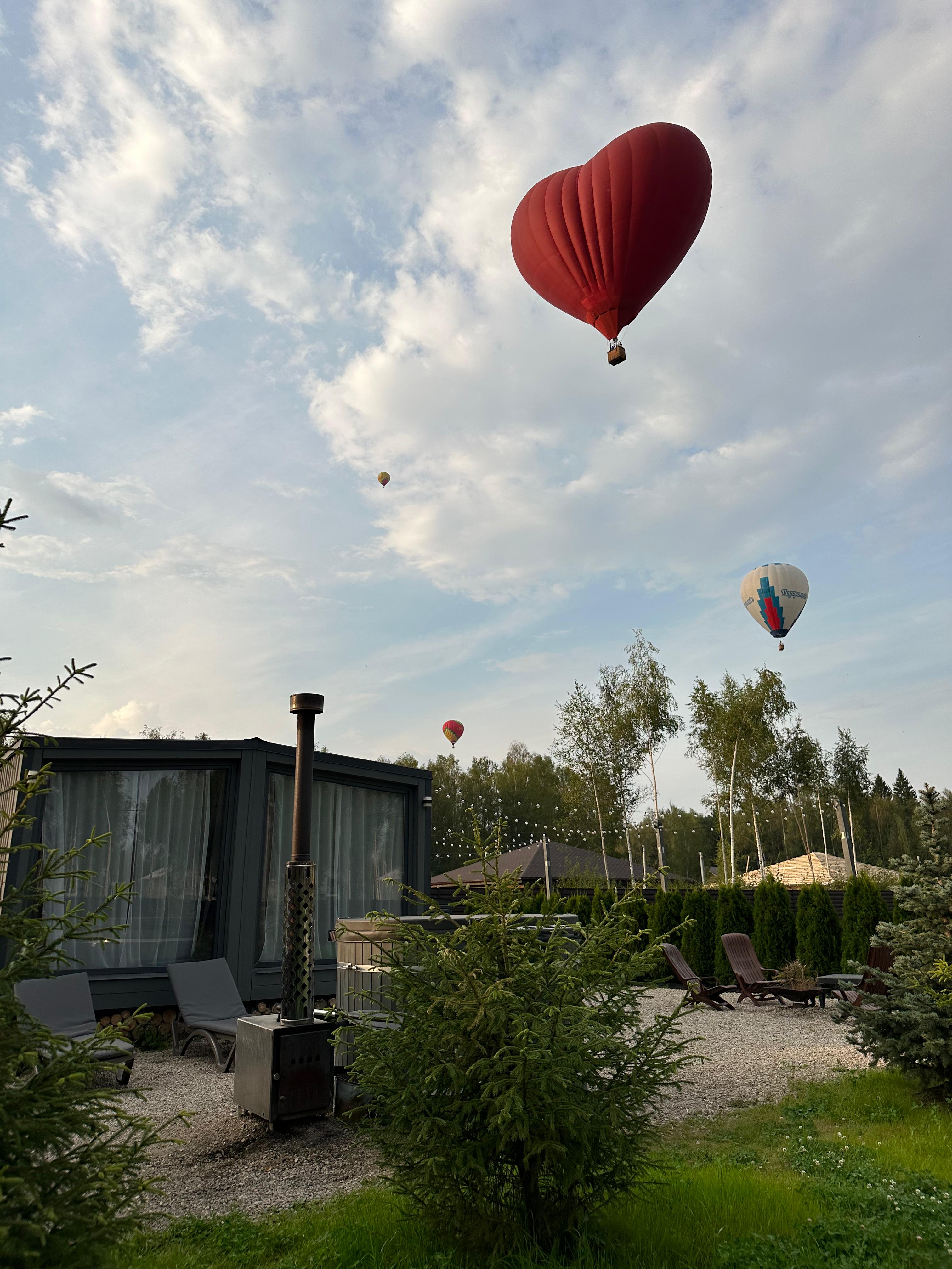 Фото Сканди Лайф