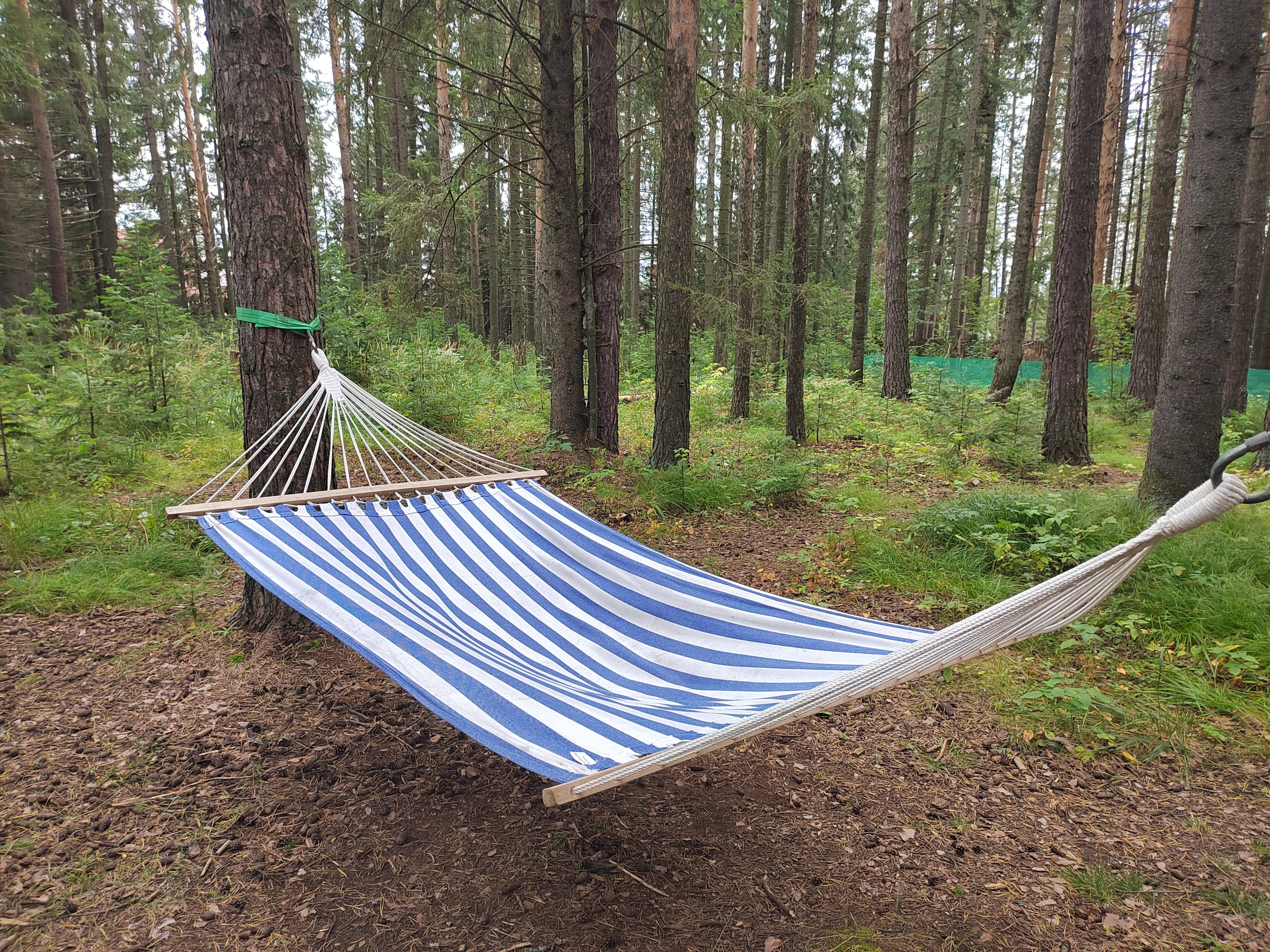 Фото DarkSideCamp