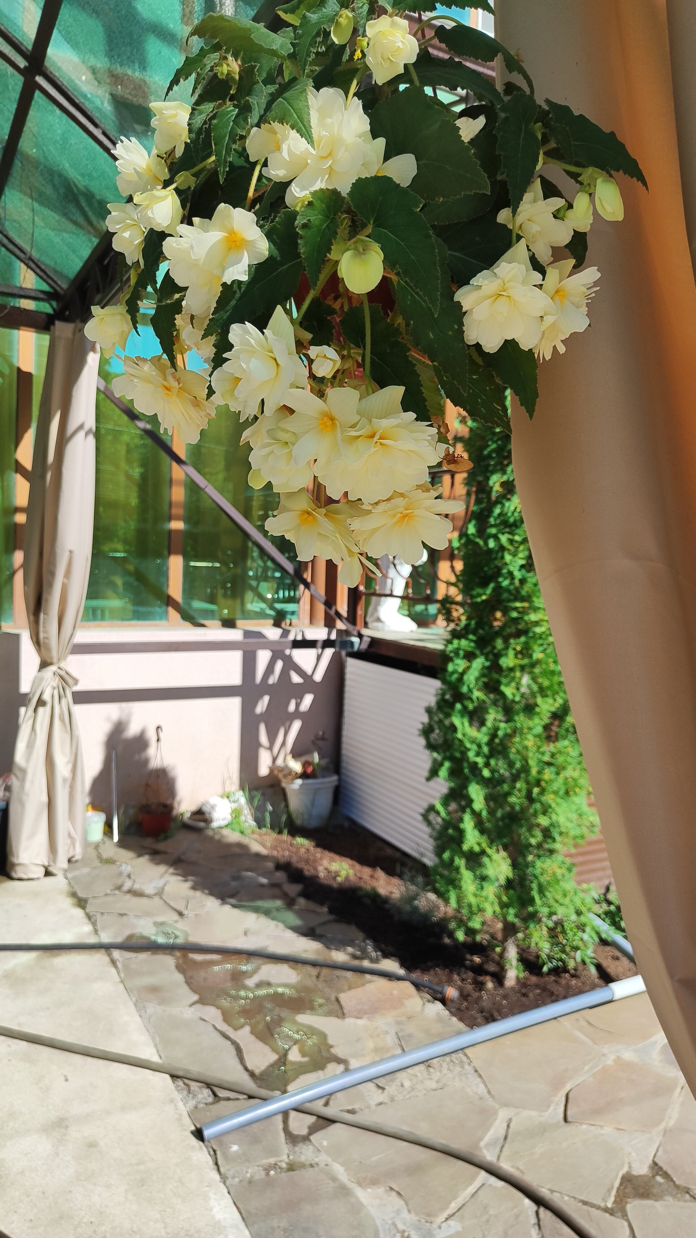 Фото Усадьба Трикиди